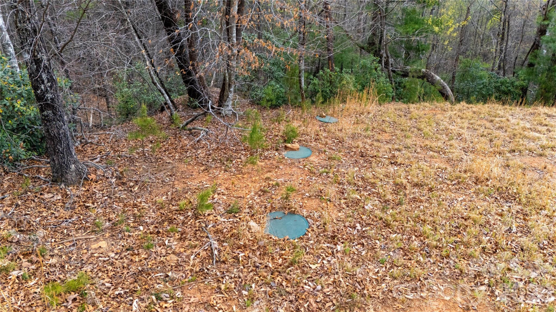 0000 High Trail Drive - Photo 4