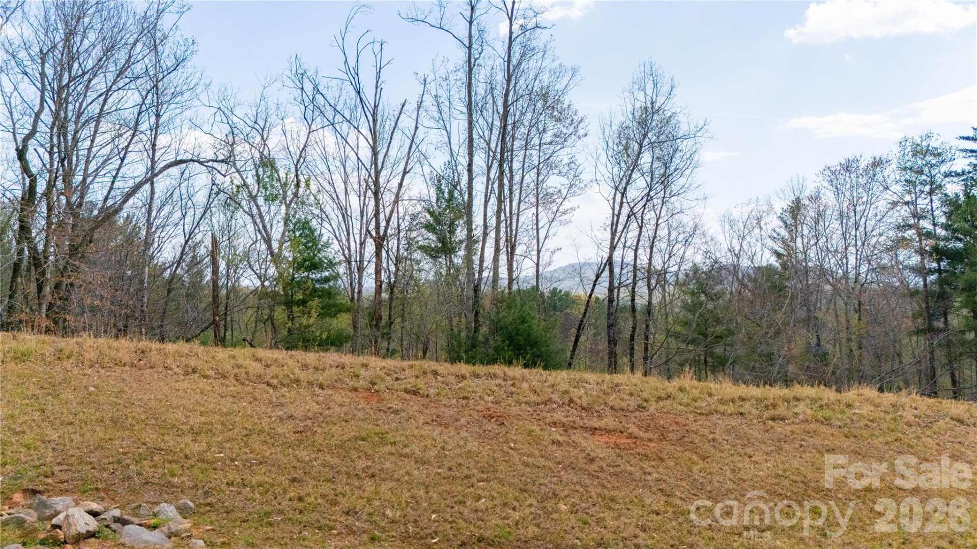 0000 High Trail Drive - Photo 10