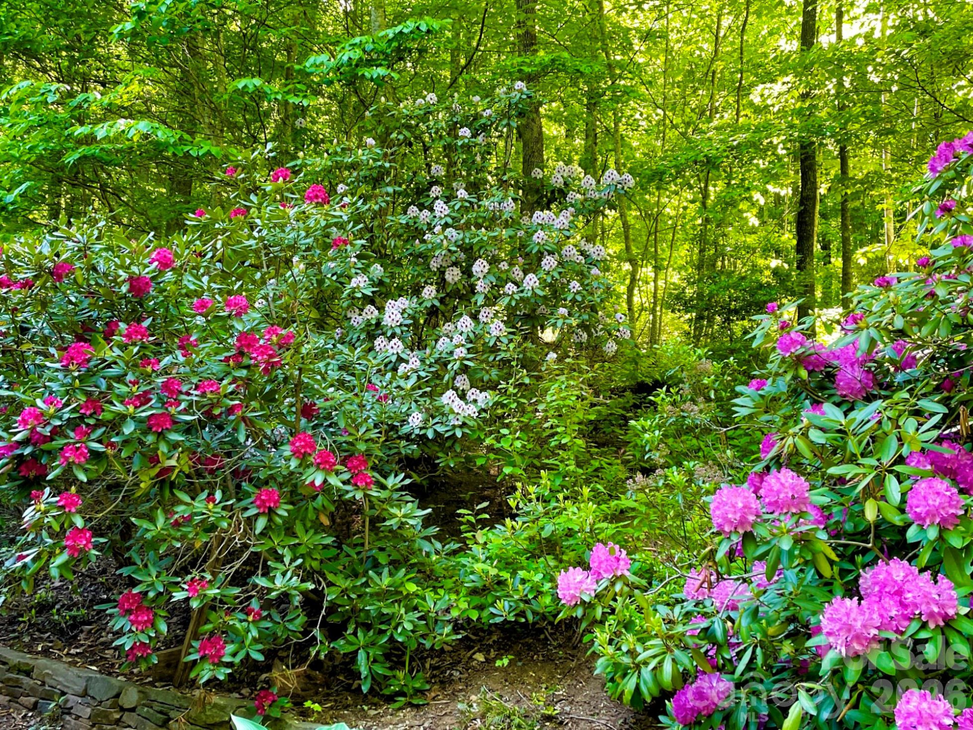 38 Sutton Knob Road - Photo 7