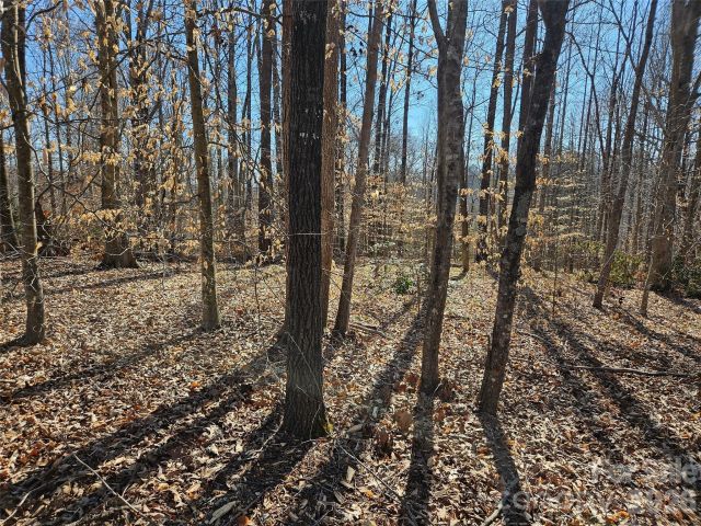 0 General Griffith Circle, Rutherfordton, NC, 28139