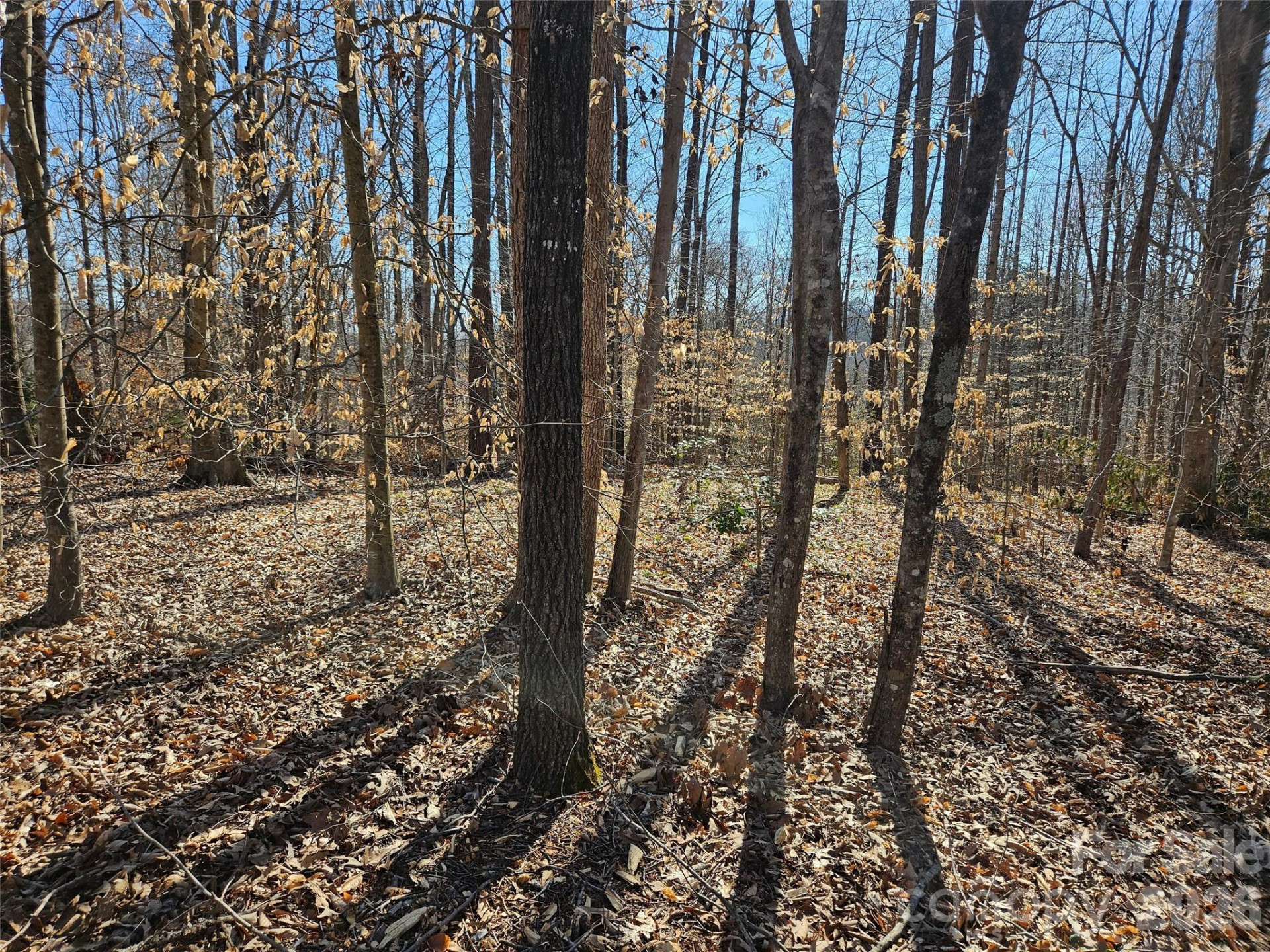 0 General Griffith Circle #37