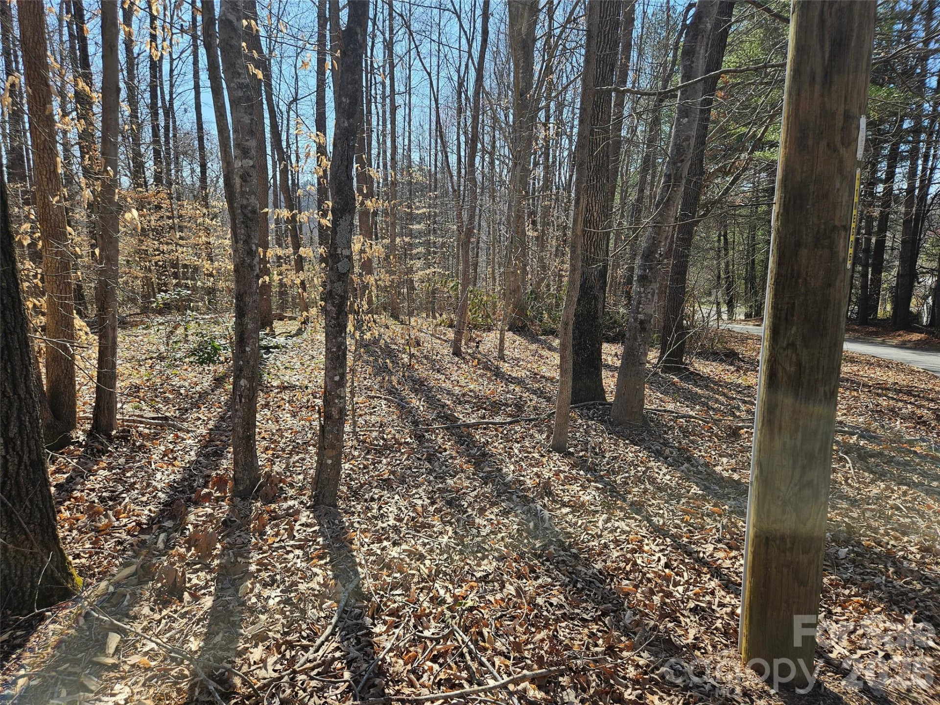 0 General Griffith Circle #37 - Photo 2