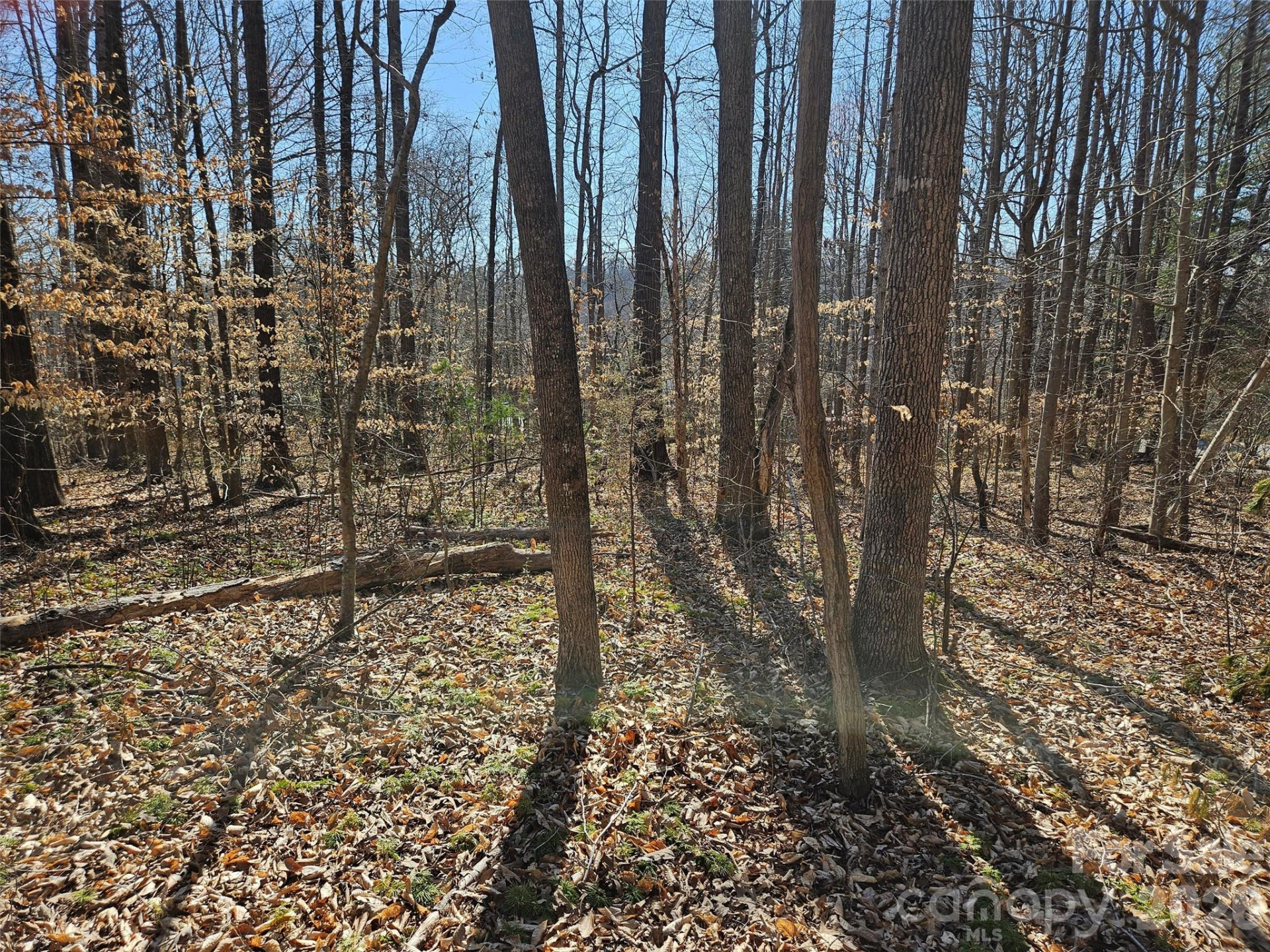 0 General Griffith Circle #37 - Photo 4