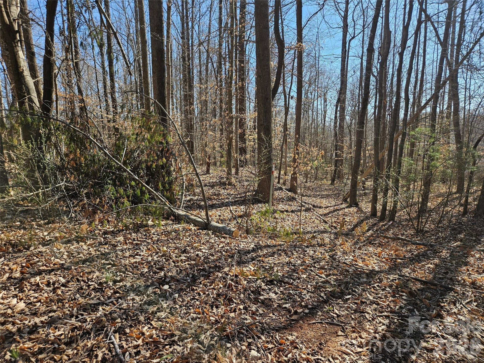 0 General Griffith Circle #37 - Photo 6