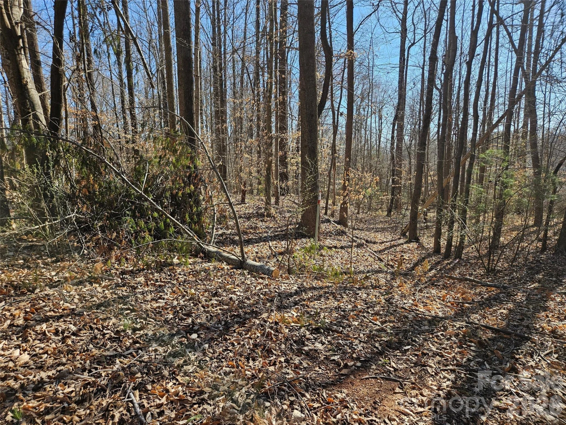 0 General Griffith Circle #37 - Photo 6