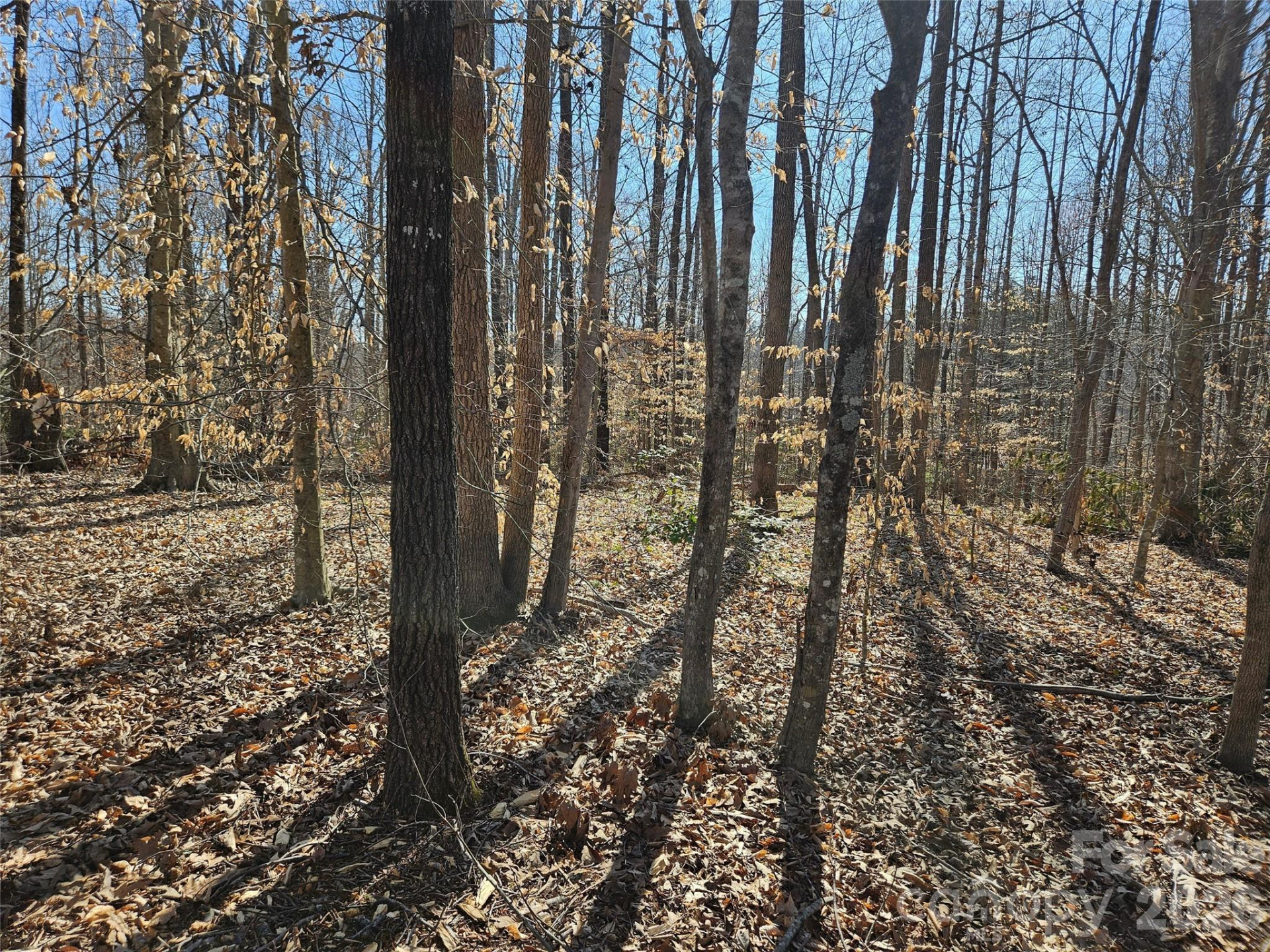 0 General Griffith Circle #37 - Photo 8