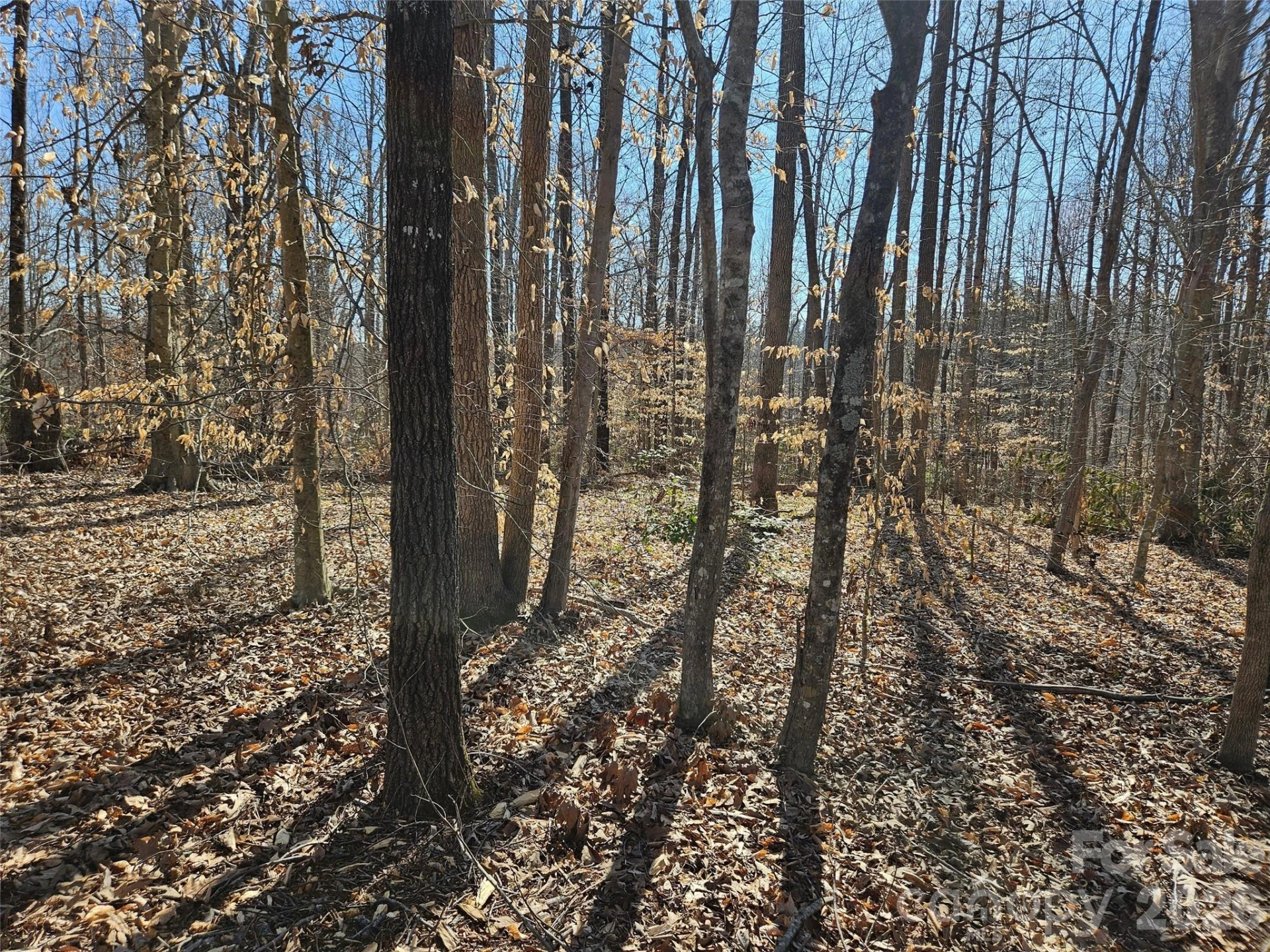 0 General Griffith Circle #37 - Photo 8
