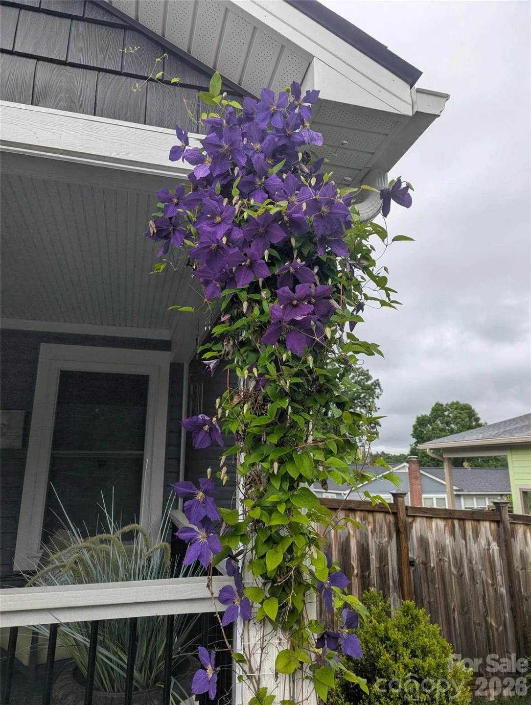 482 Booker Street - Photo 35