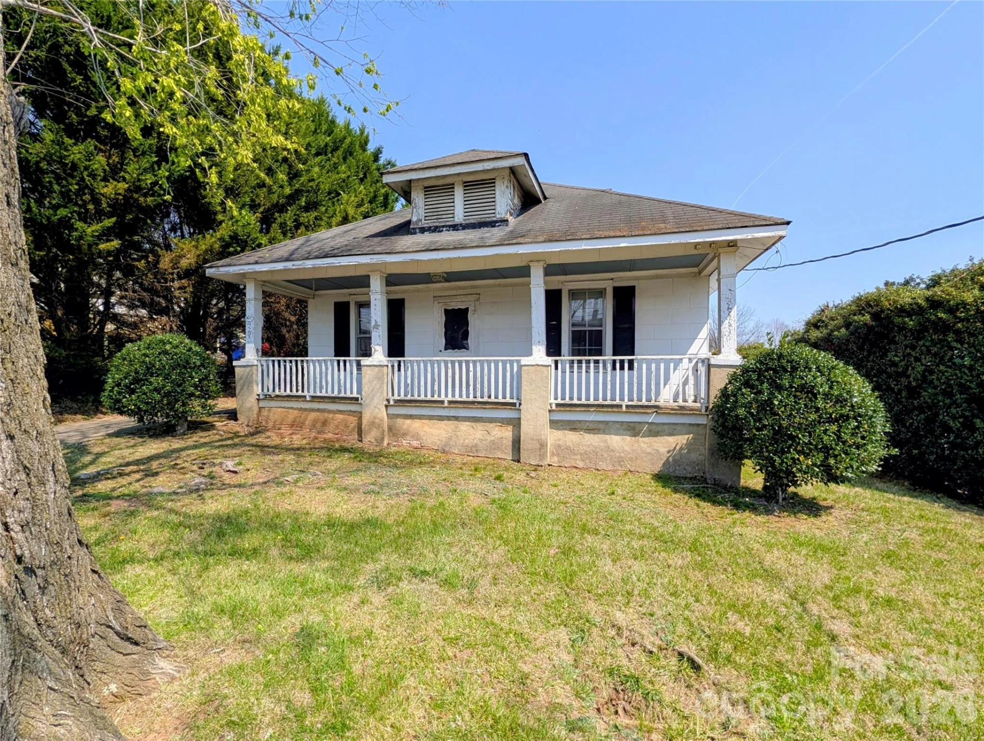 507 College Street - Photo 3