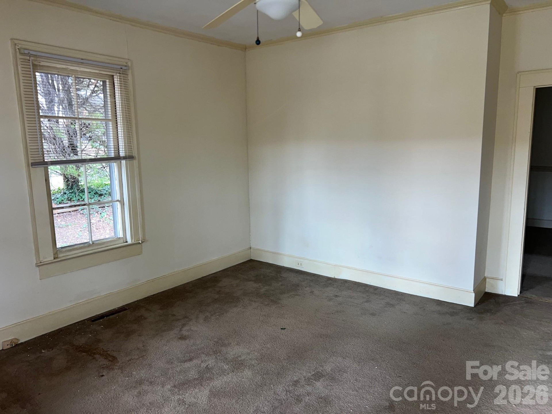 507 College Street - Photo 6