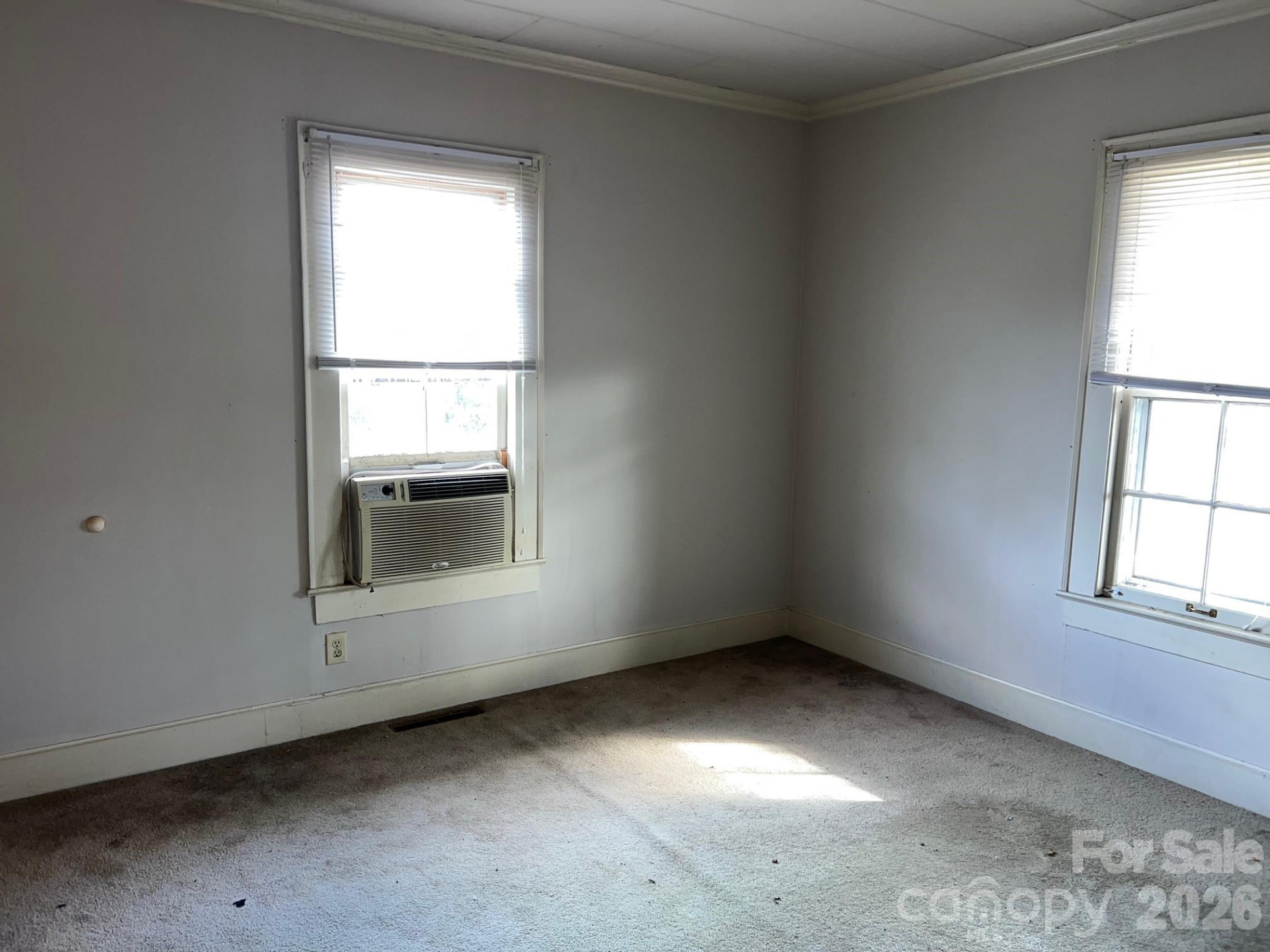 507 College Street - Photo 8