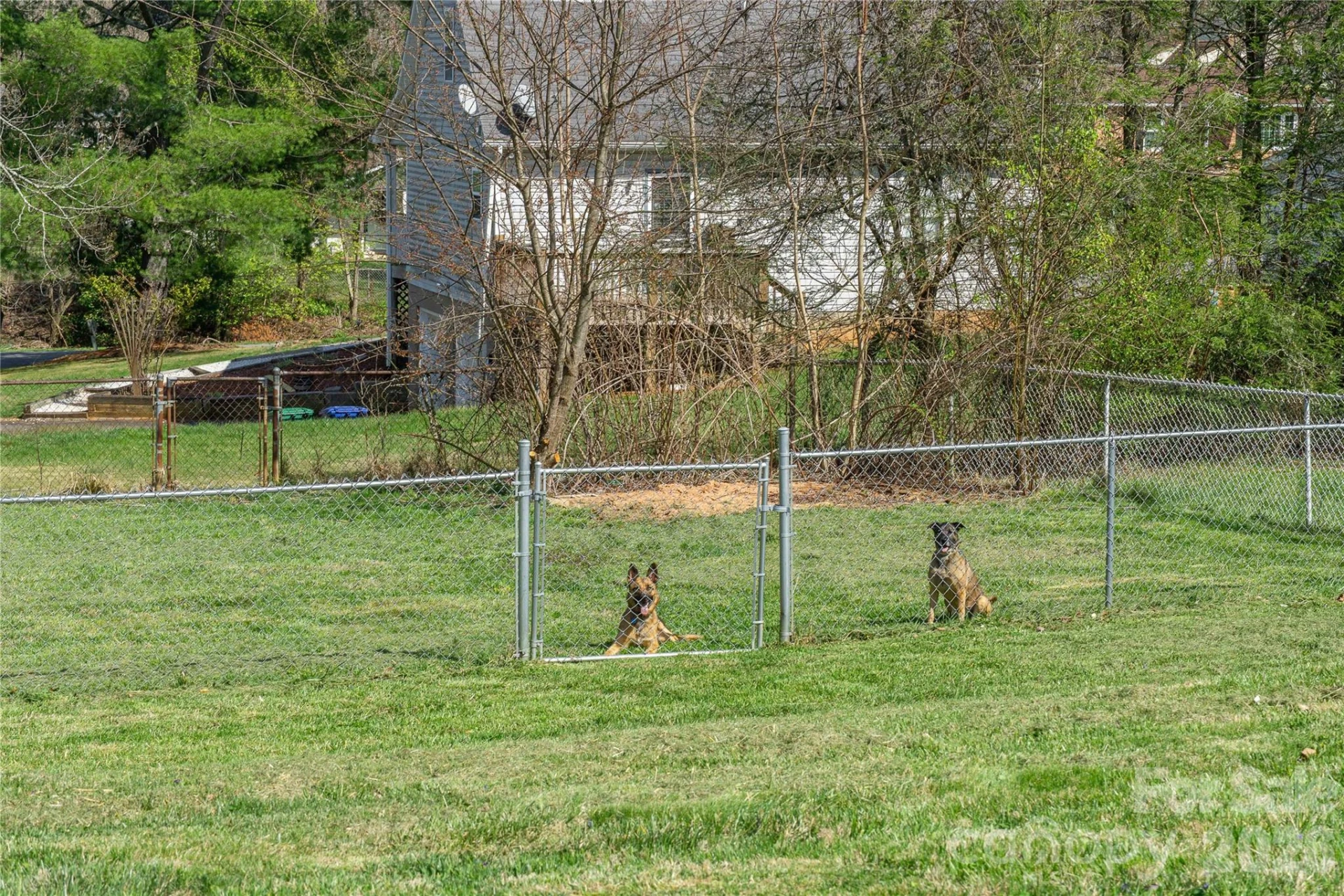 183 Mount Carmel Road - Photo 10
