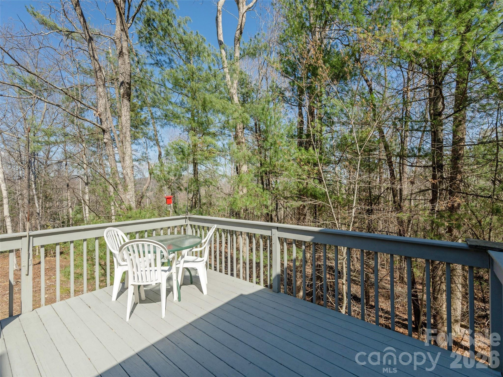 206 Black Oak Lane - Photo 13