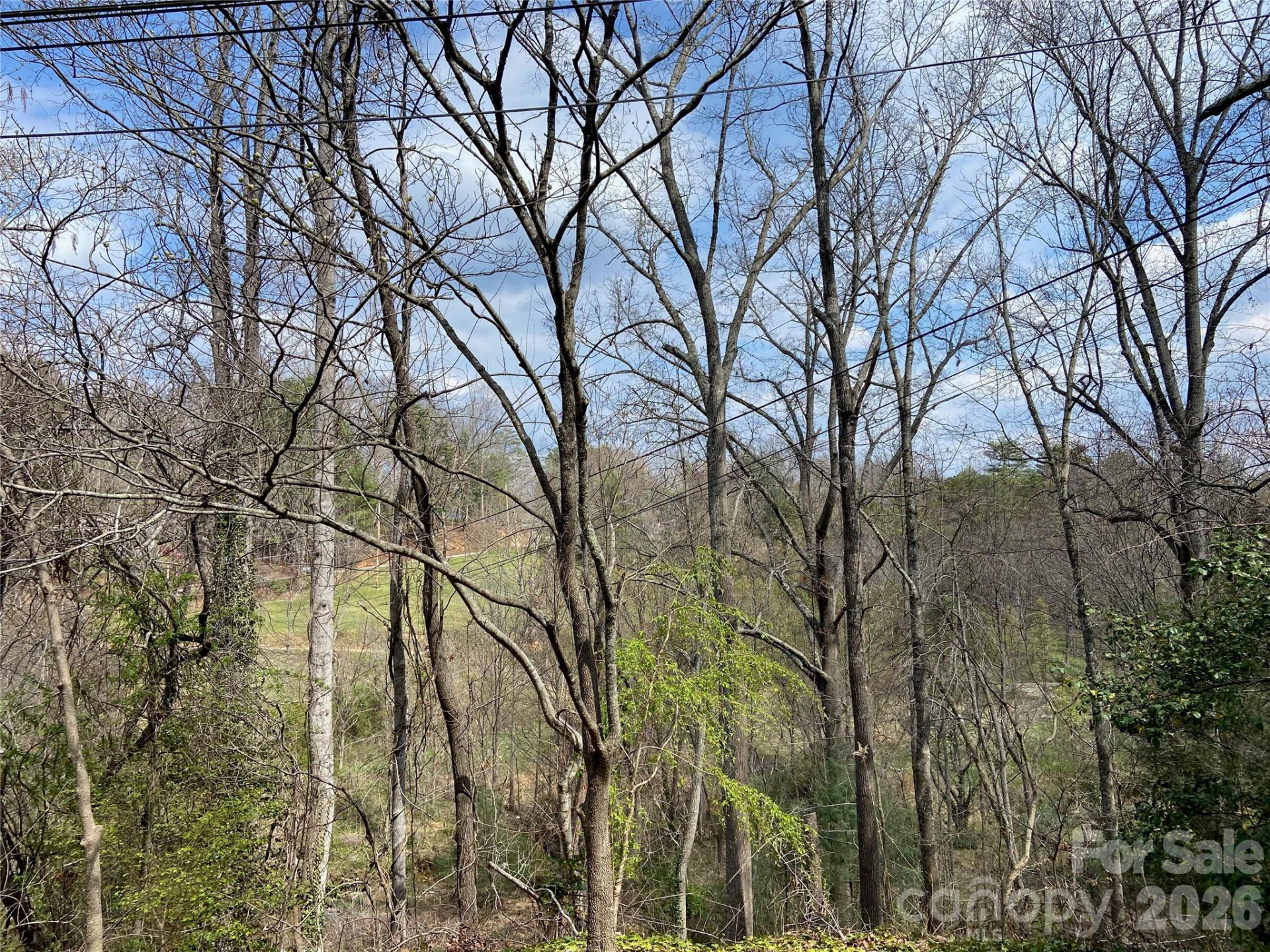 23 Old Farm School Road - Photo 11
