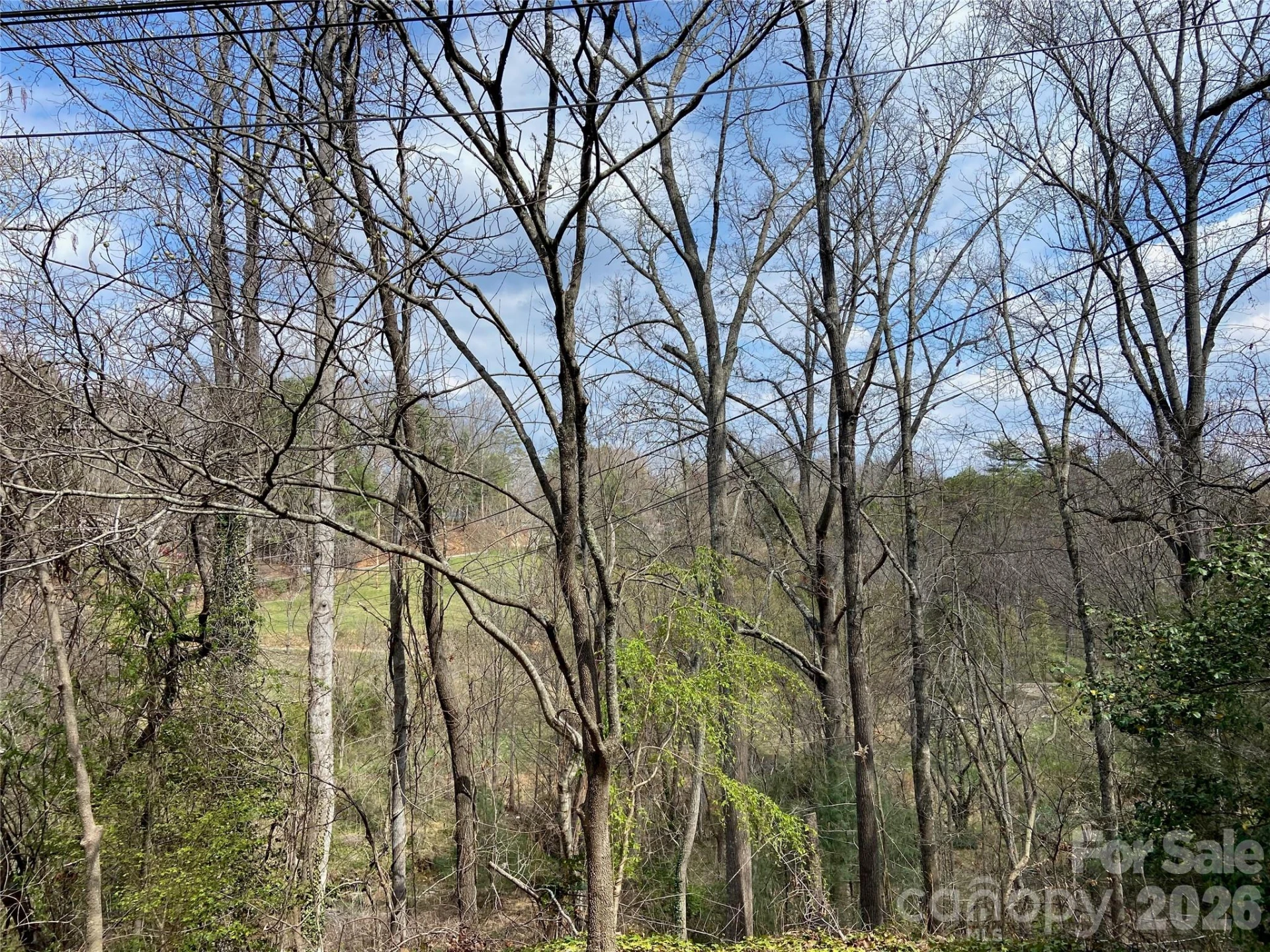 23 Old Farm School Road - Photo 11