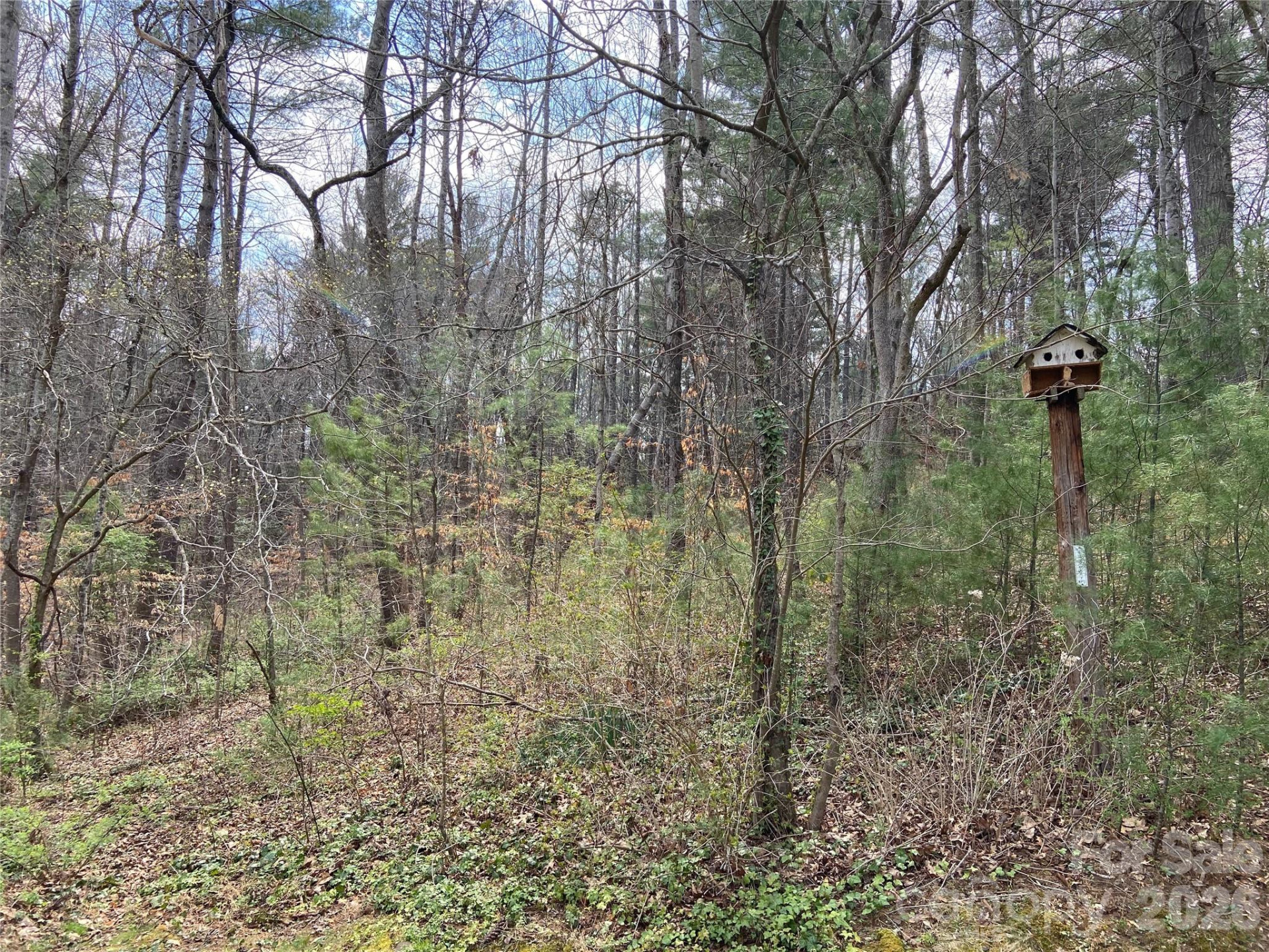23 Old Farm School Road - Photo 8