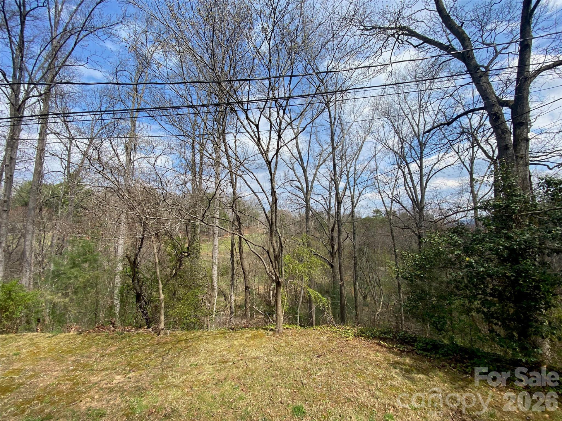 23 Old Farm School Road - Photo 10