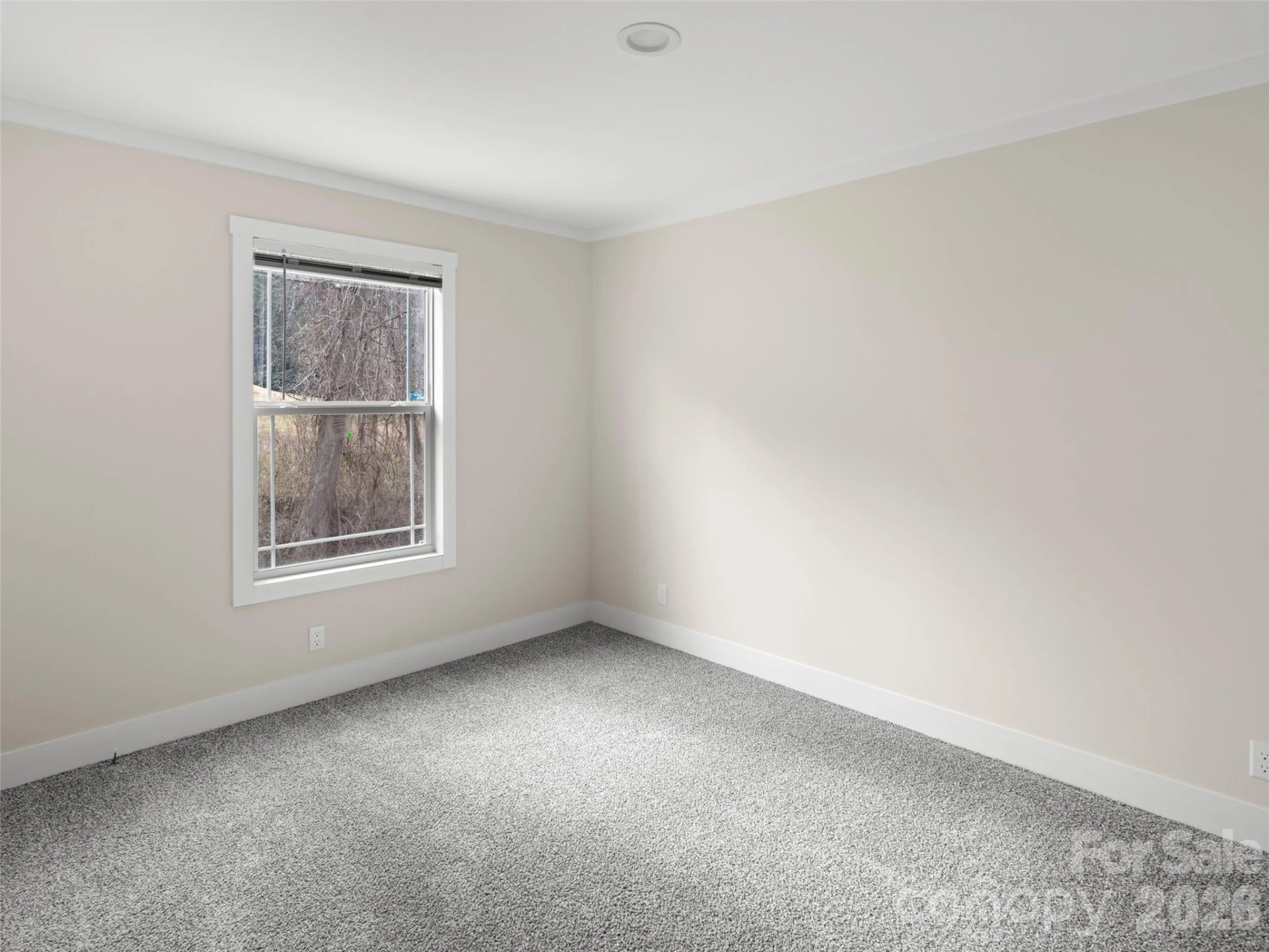 2095 Emmas Grove Road - Photo 17