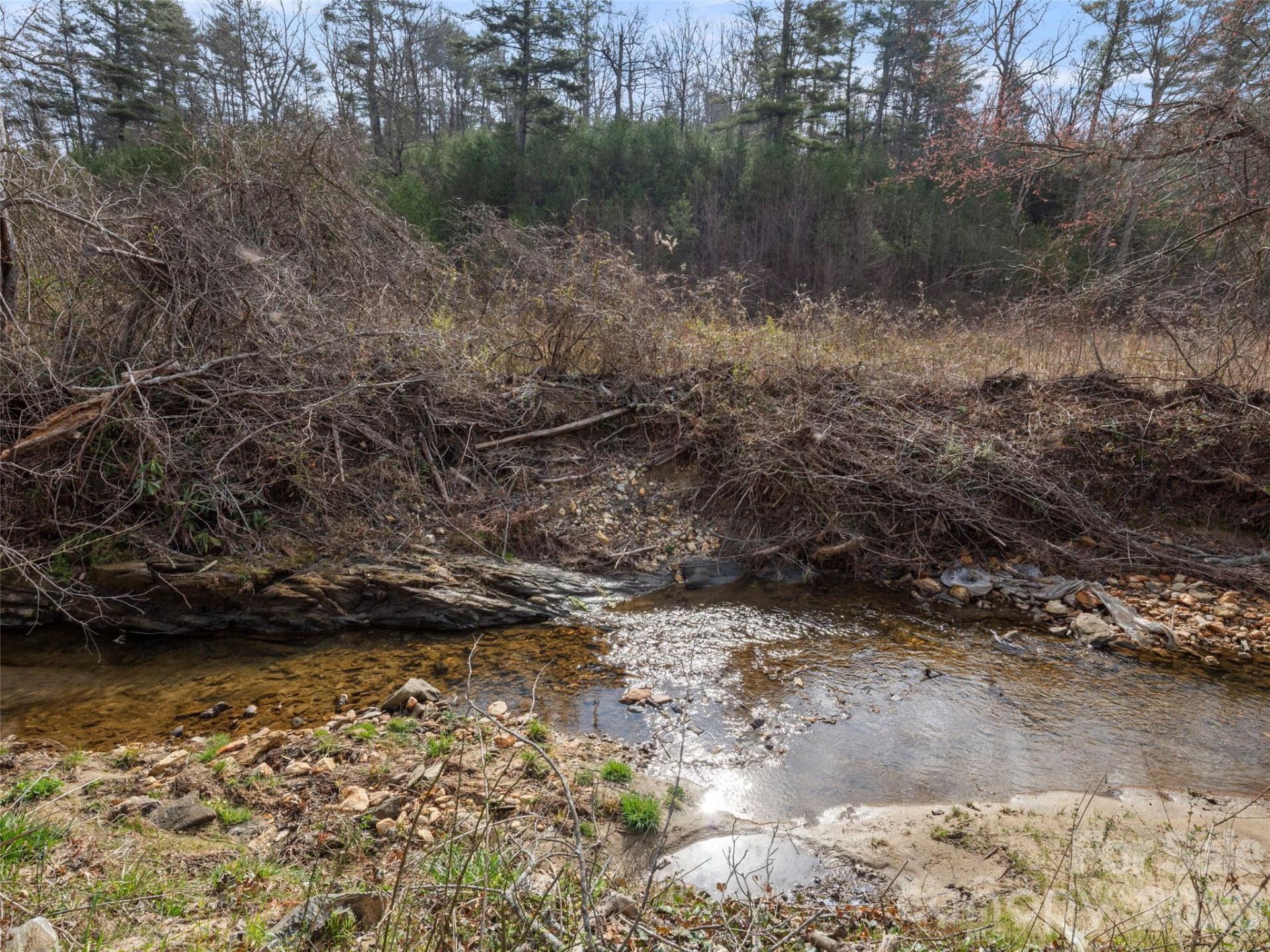 2095 Emmas Grove Road - Photo 23