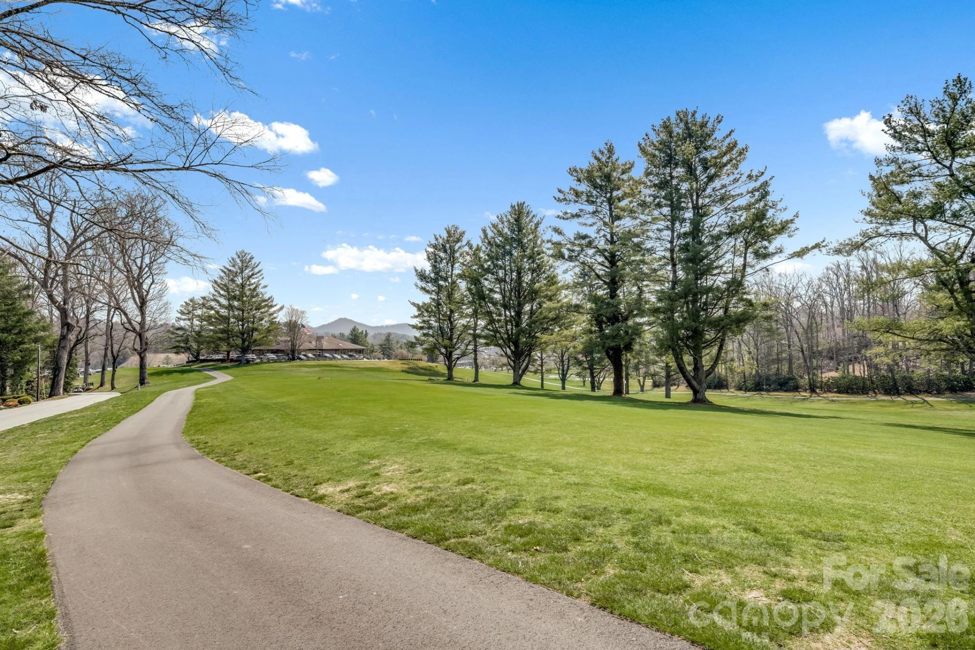 2203 Swiss Pine Lake Drive - Photo 30