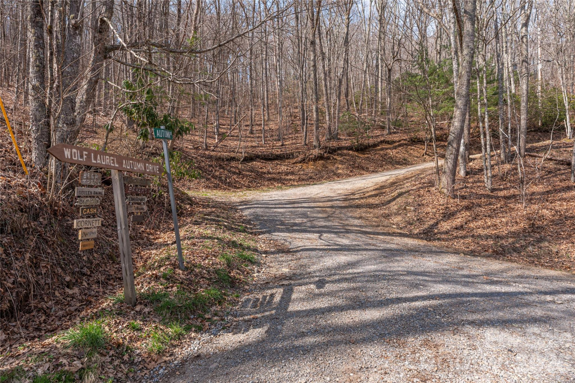 00 Autumn Drive - Photo 11