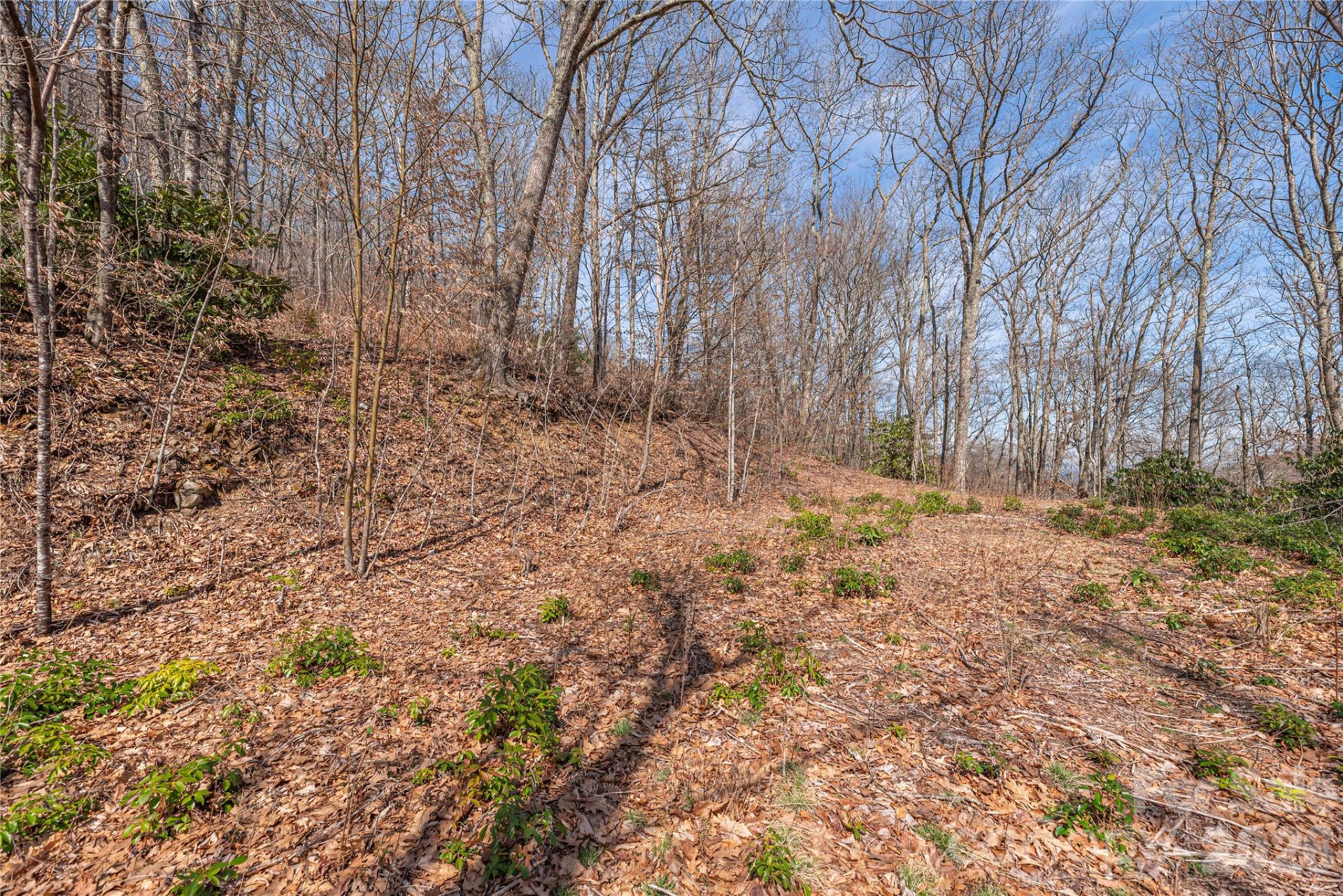 00 Autumn Drive - Photo 5