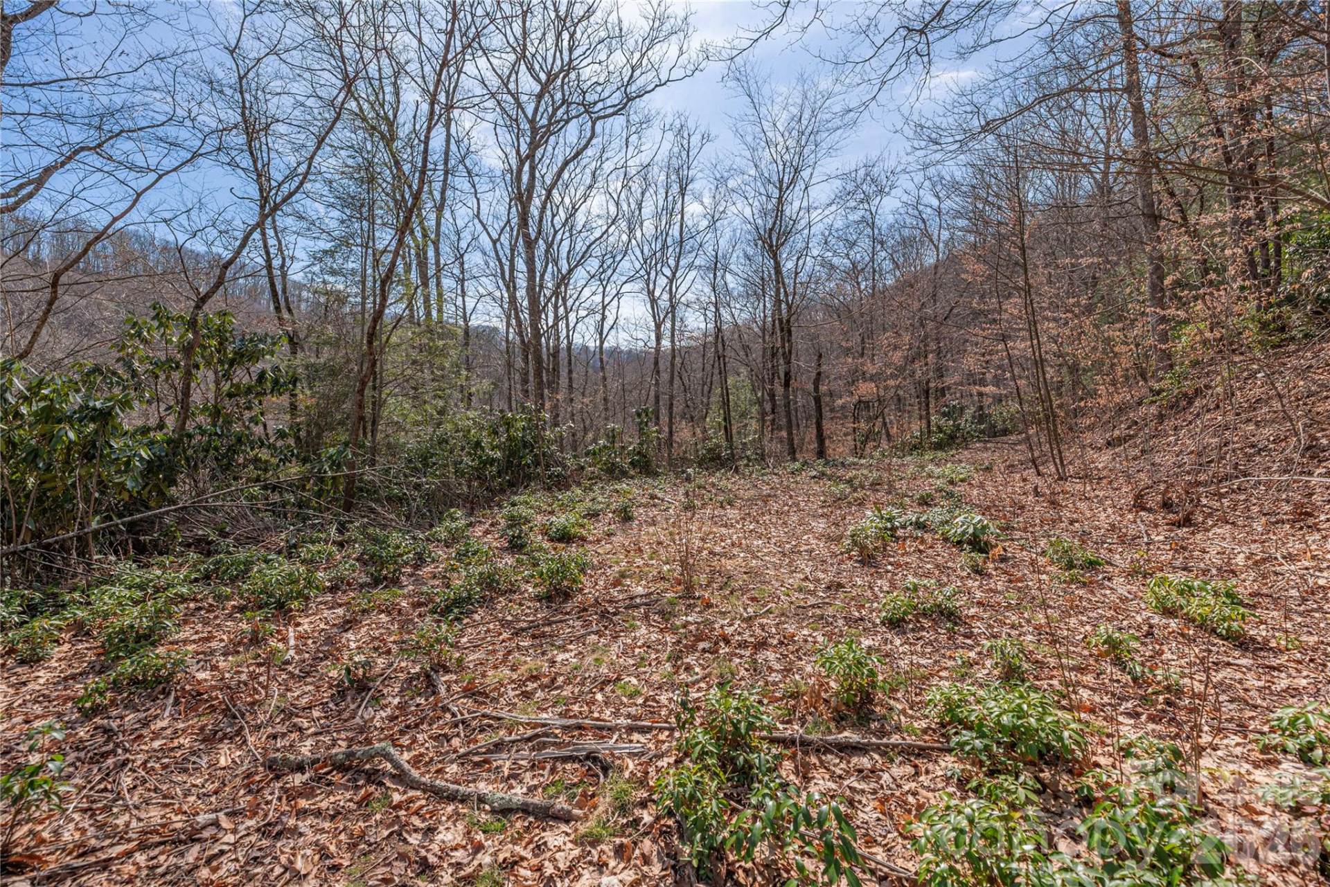 00 Autumn Drive - Photo 6