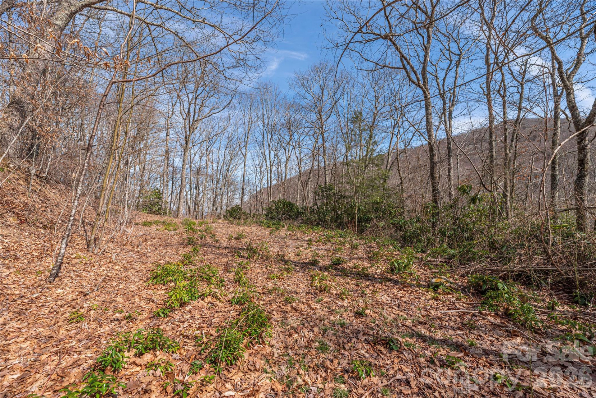 00 Autumn Drive - Photo 7