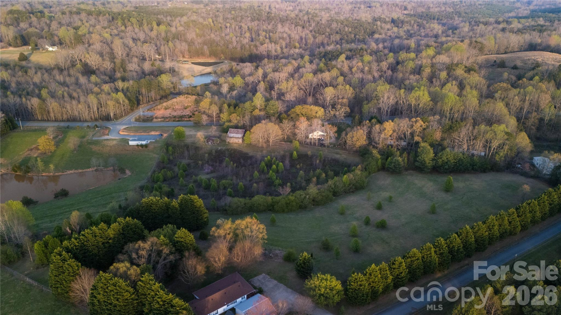 3771 Hwy 221 Highway - Photo 14