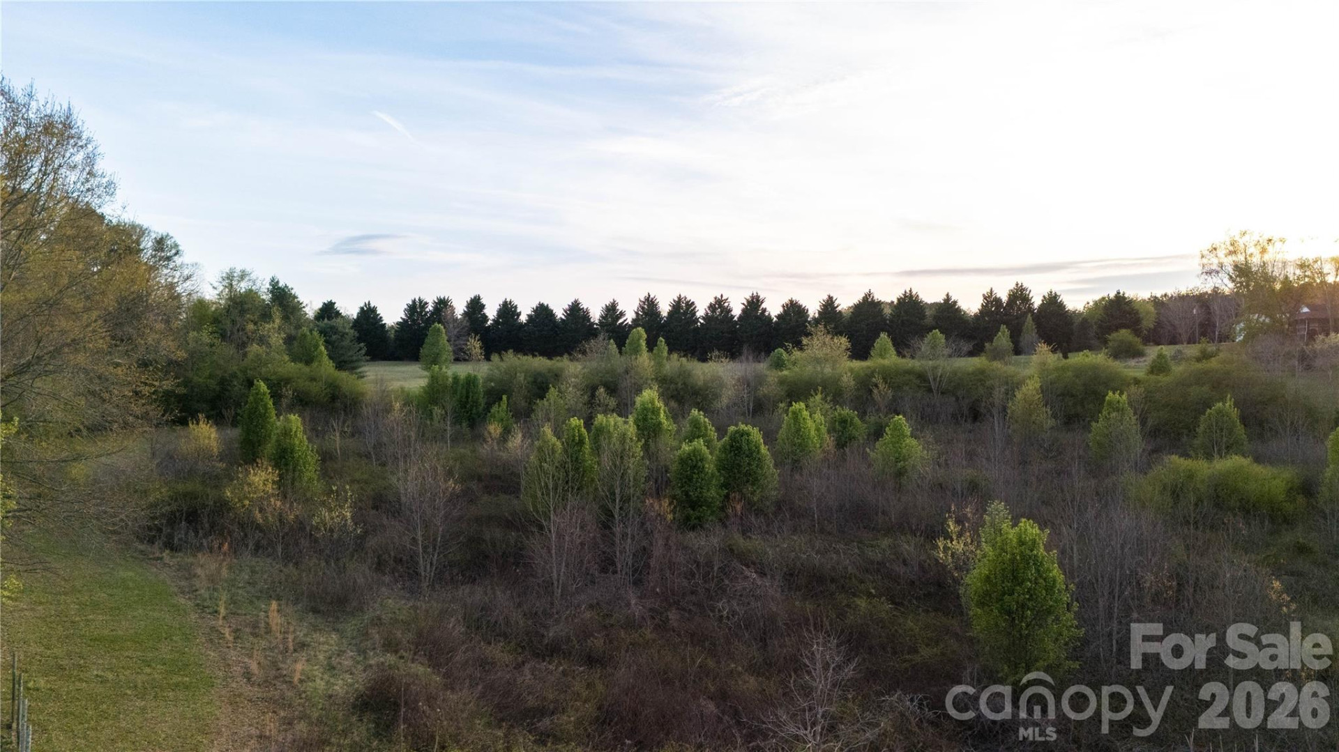 3771 Hwy 221 Highway - Photo 17
