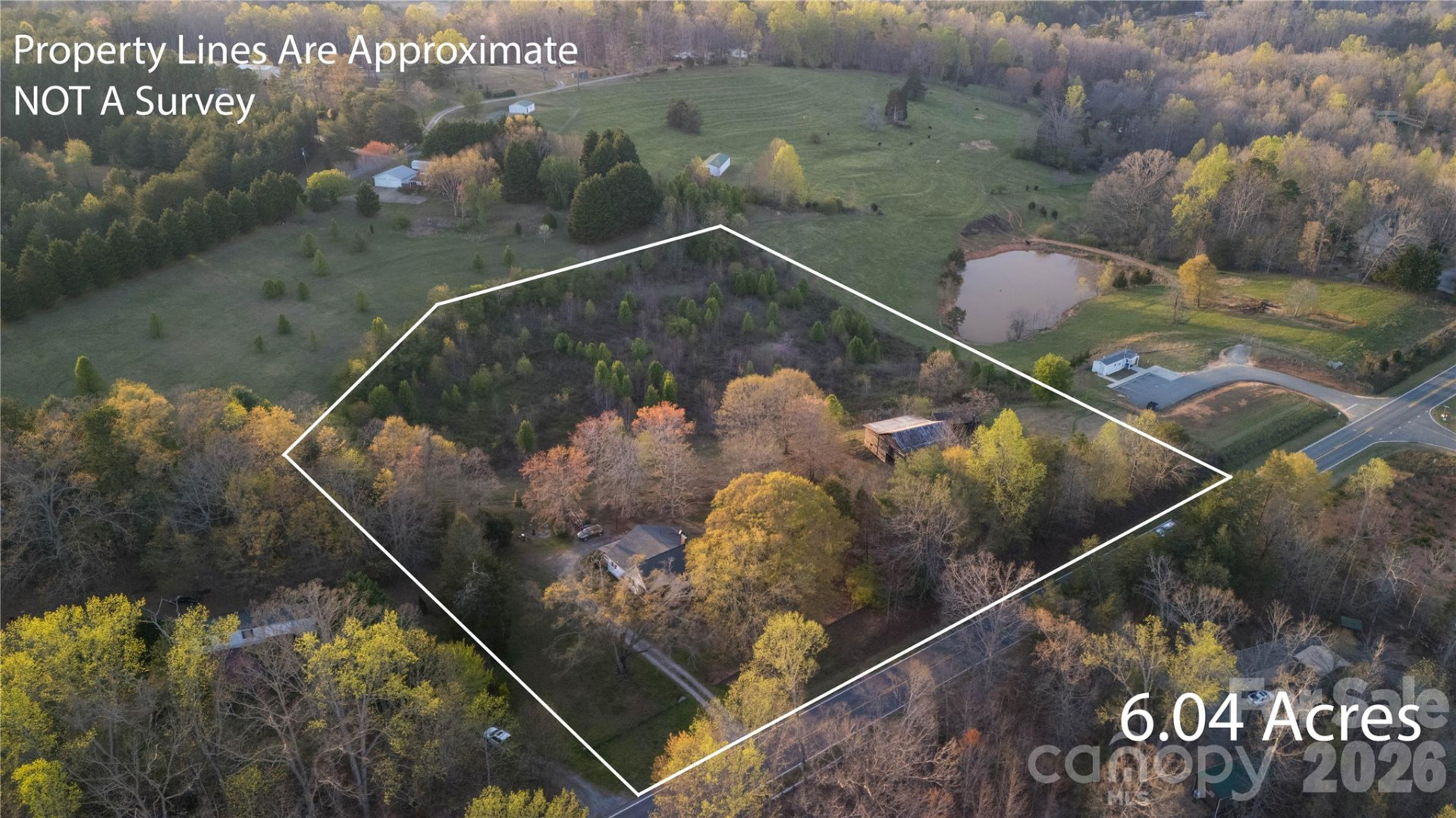 3771 Hwy 221 Highway - Photo 9