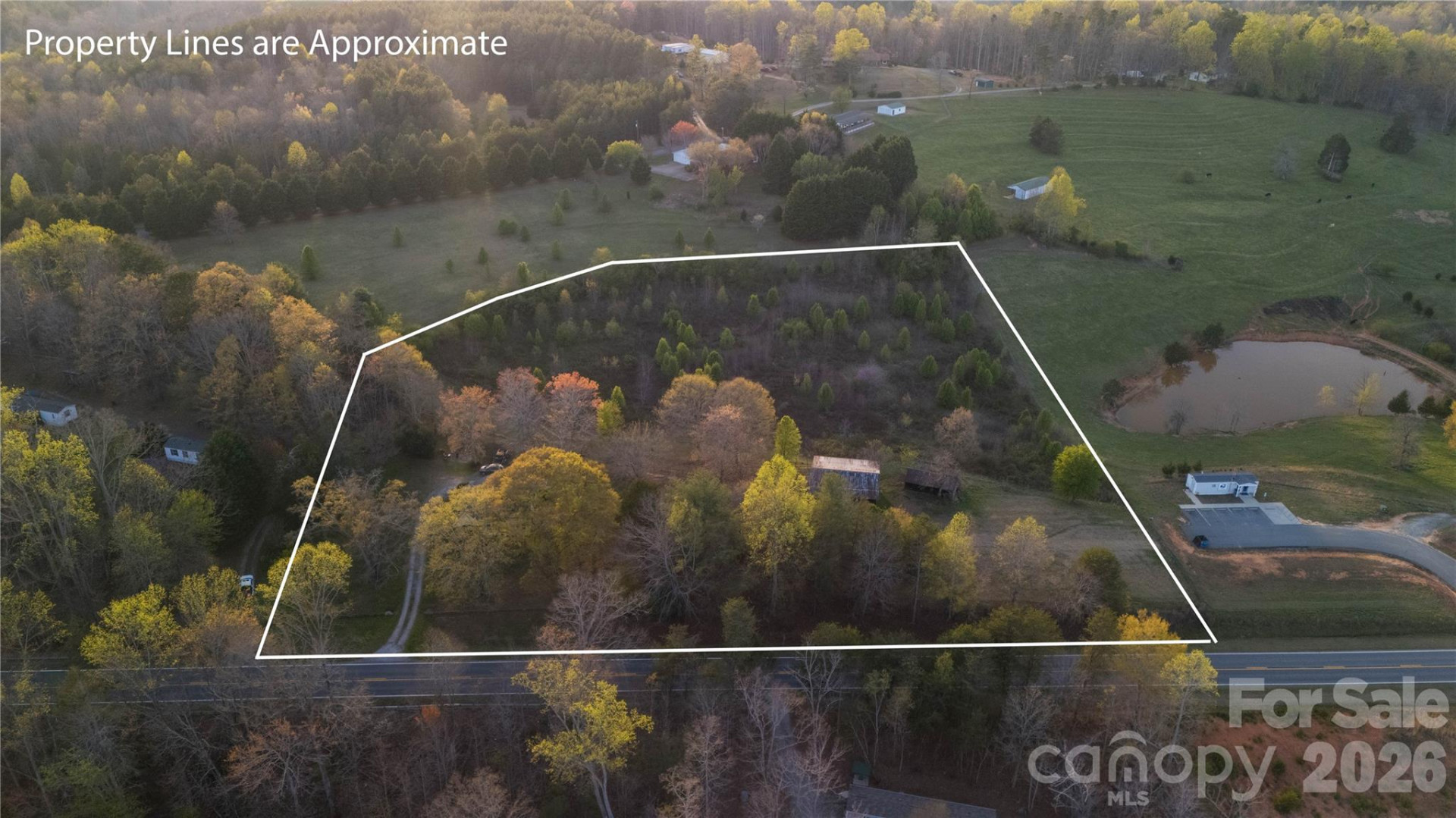 3771 Hwy 221 Highway - Photo 10