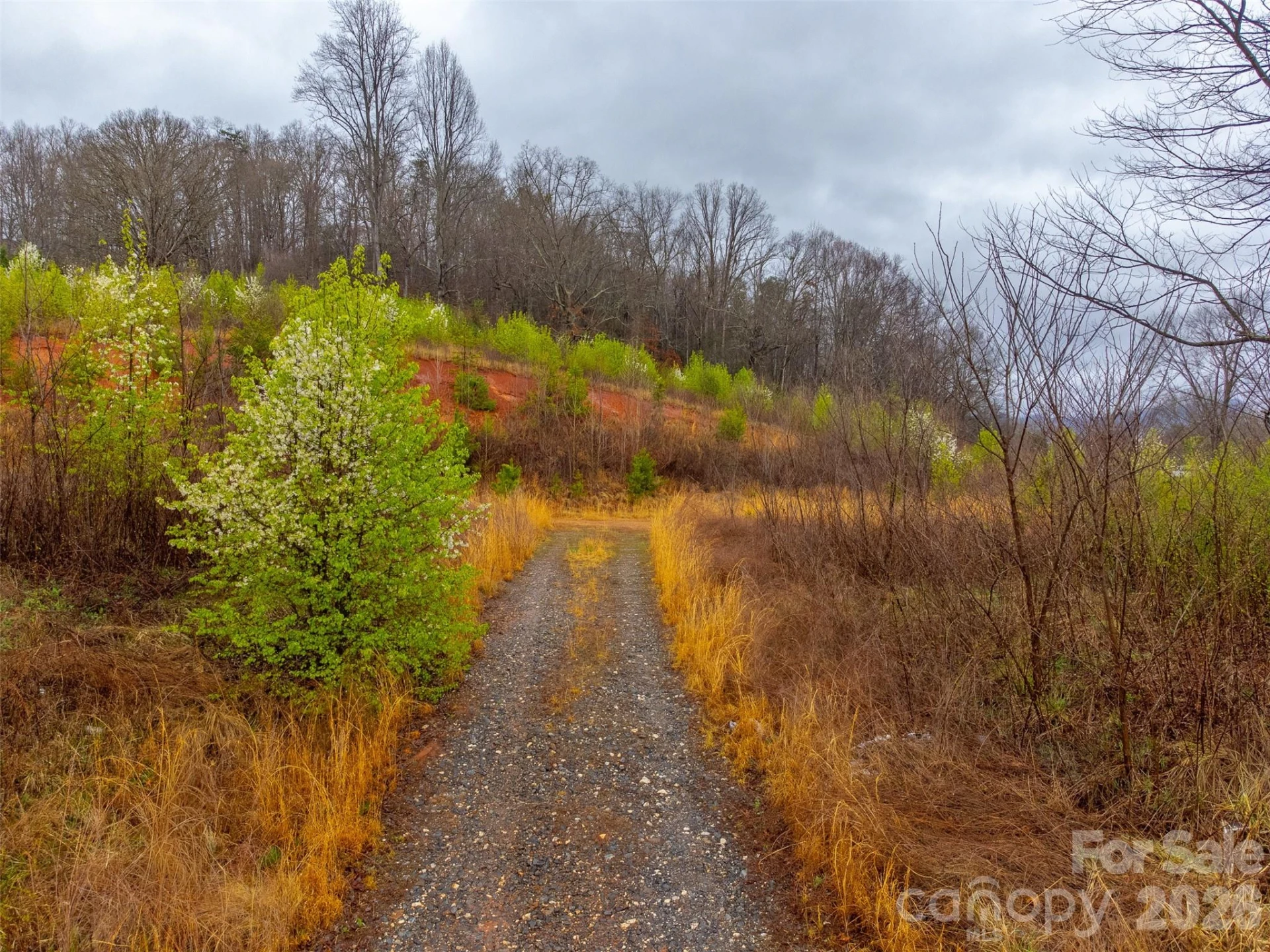 0 Connor Road - Photo 5