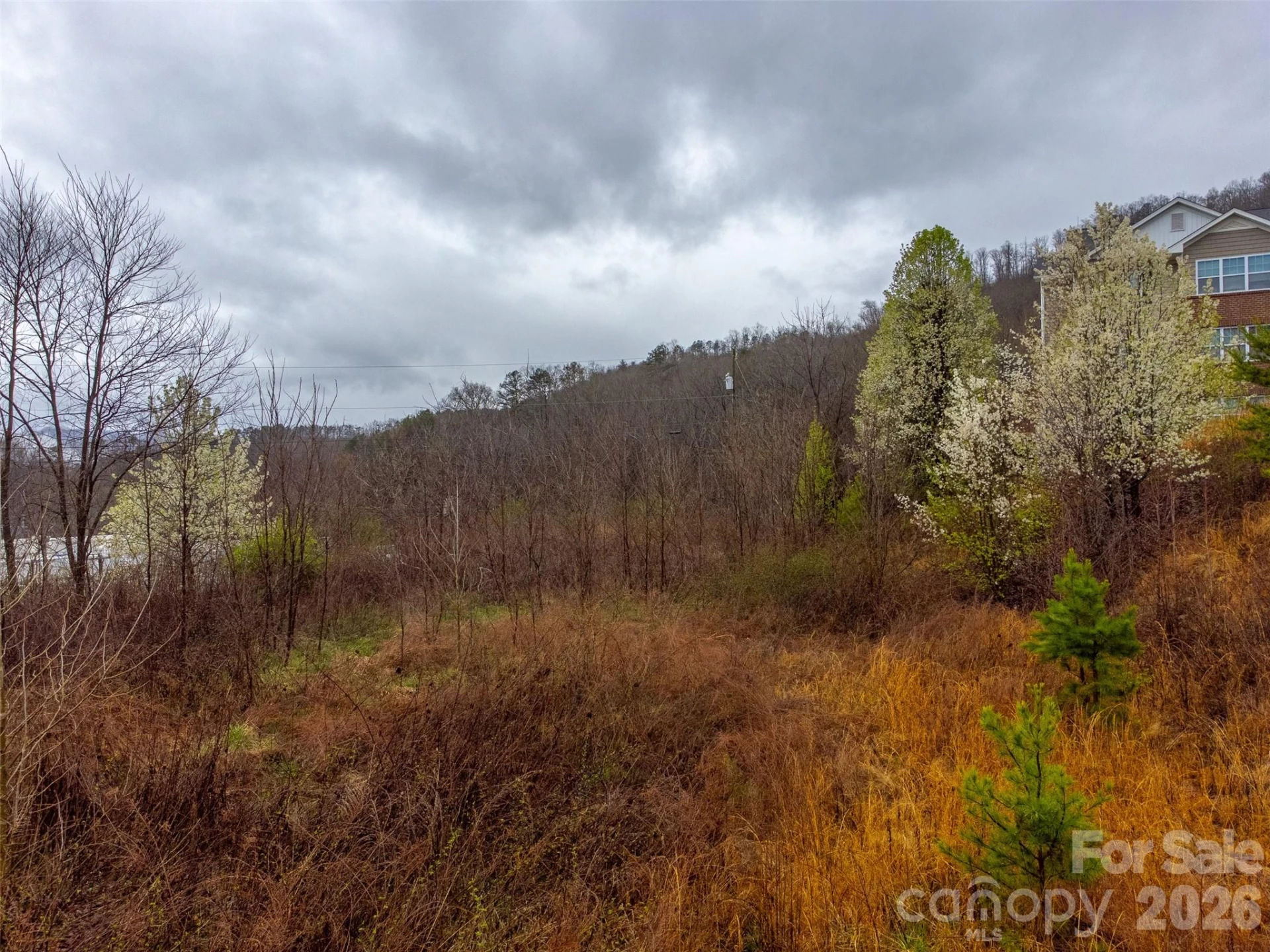 0 Connor Road - Photo 7