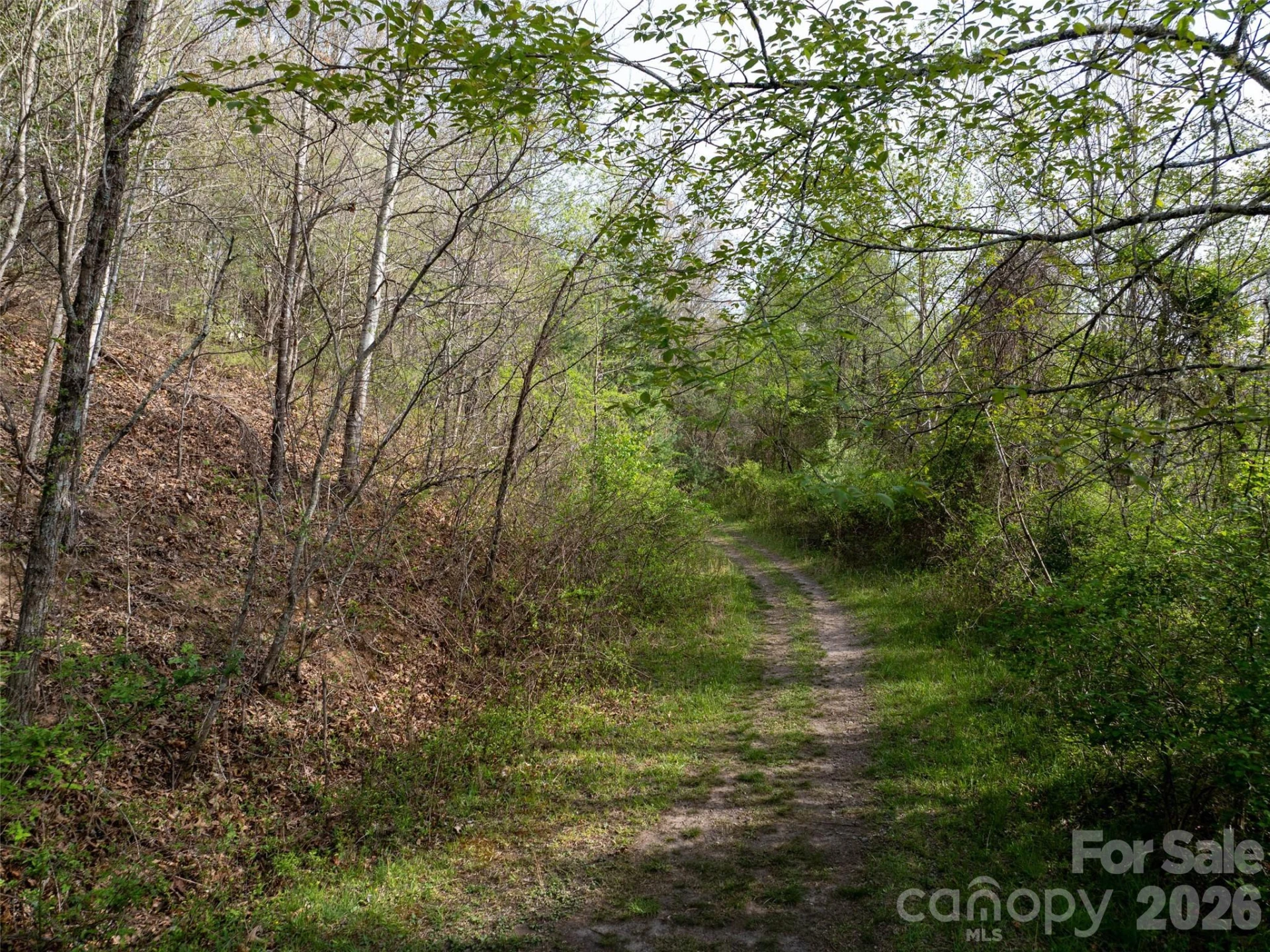 0 Sunnybrook Trail #40 - Photo 11
