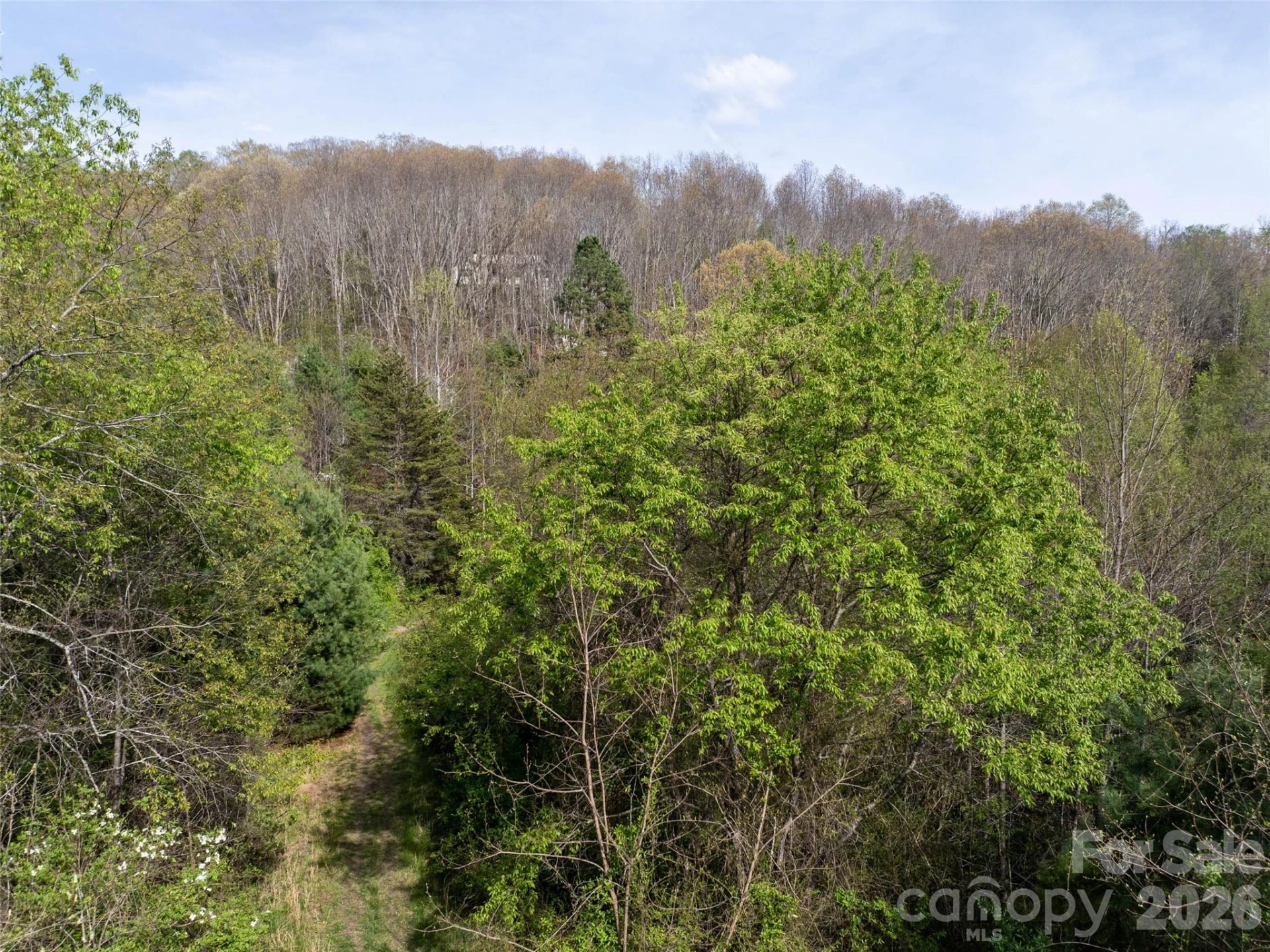 0 Sunnybrook Trail #40 - Photo 3