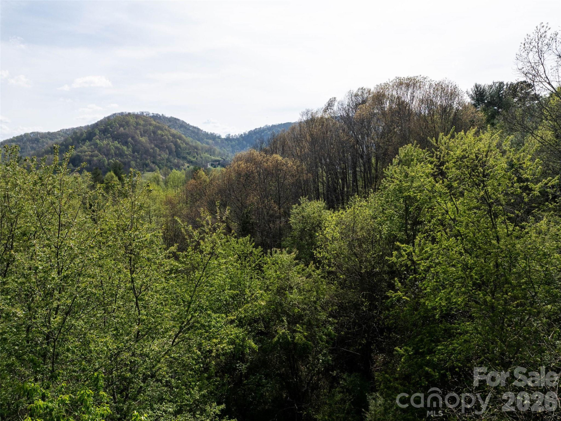 0 Sunnybrook Trail #40 - Photo 4