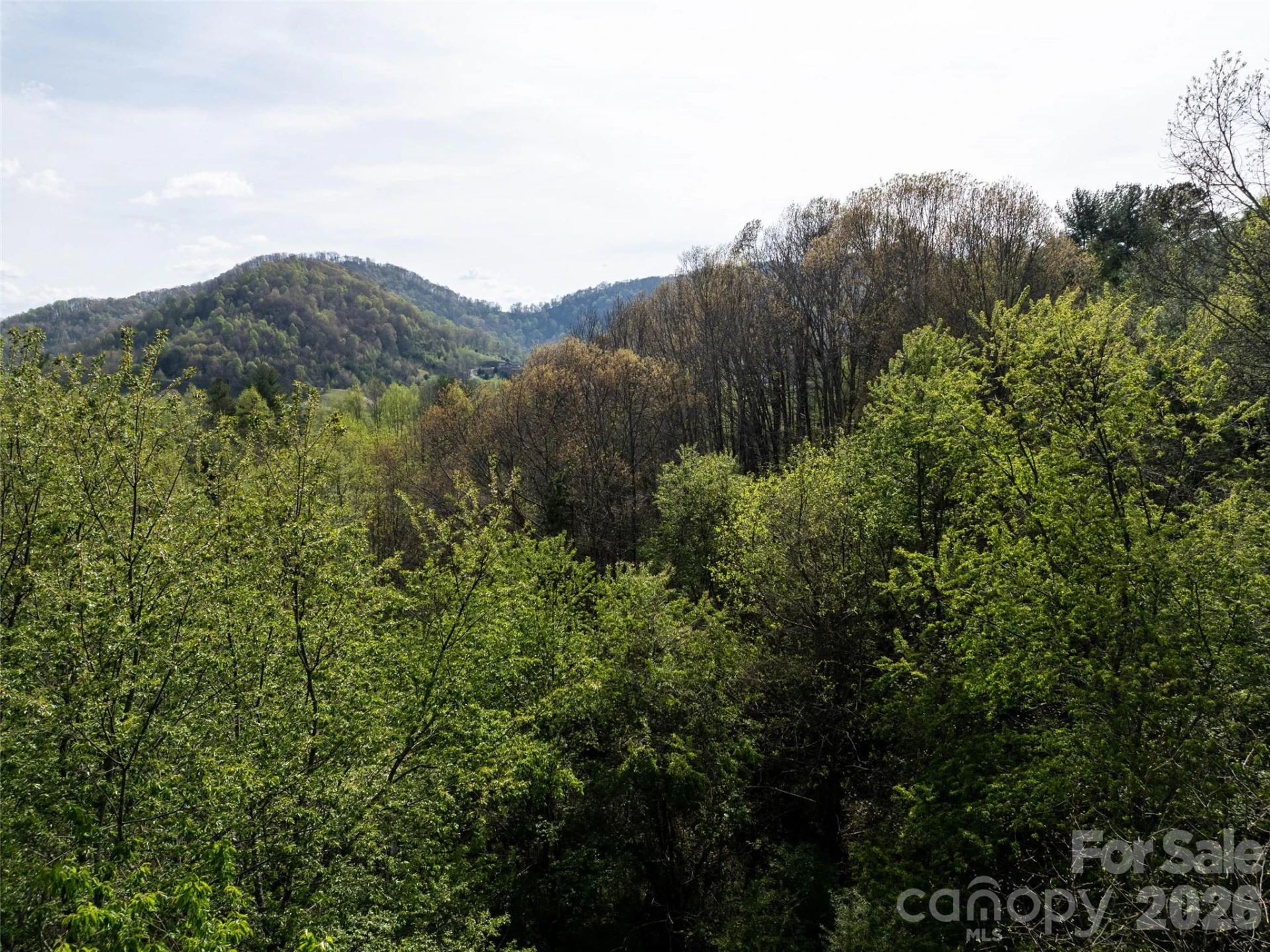 0 Sunnybrook Trail #40 - Photo 4