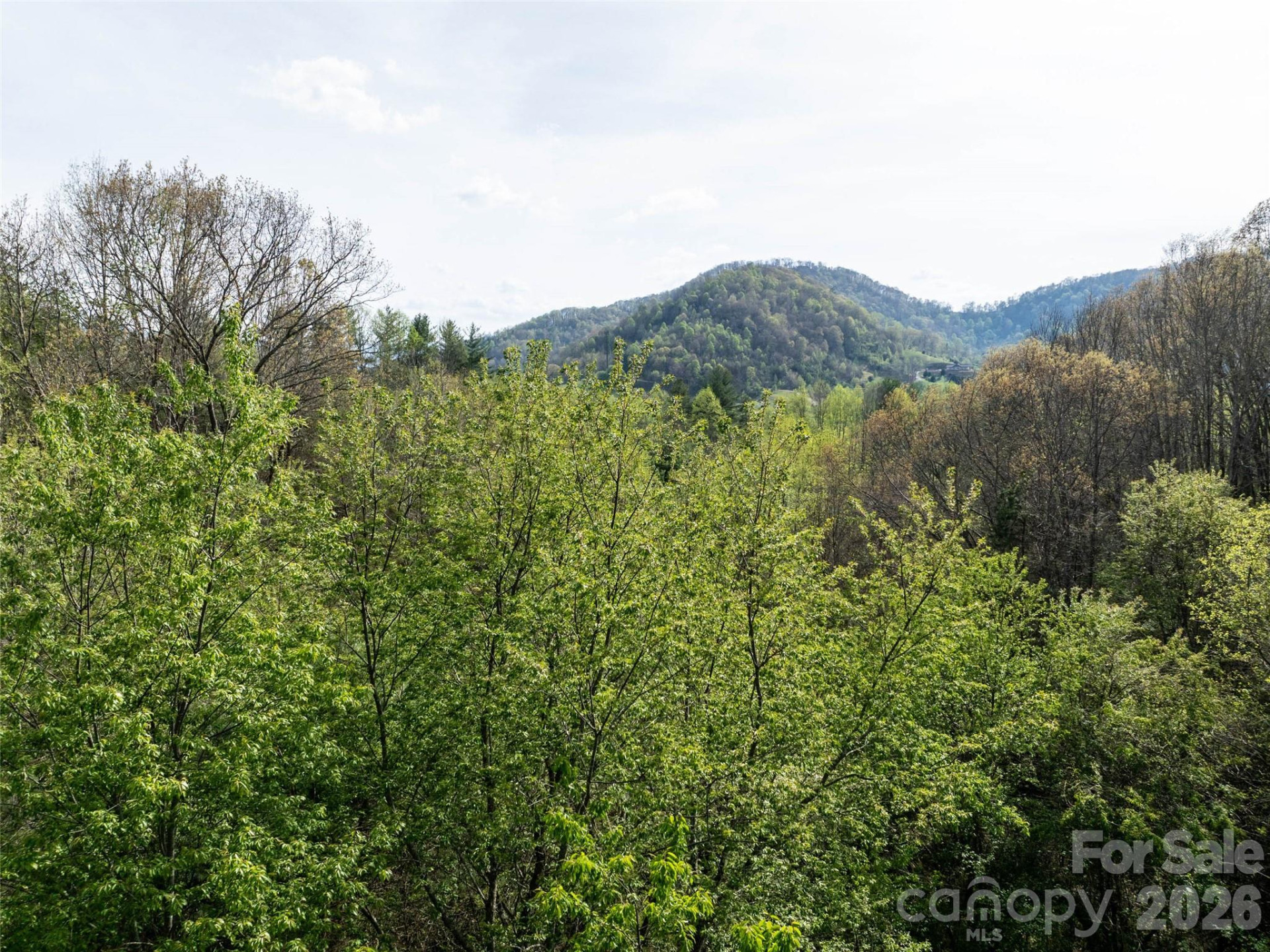 0 Sunnybrook Trail #40 - Photo 5