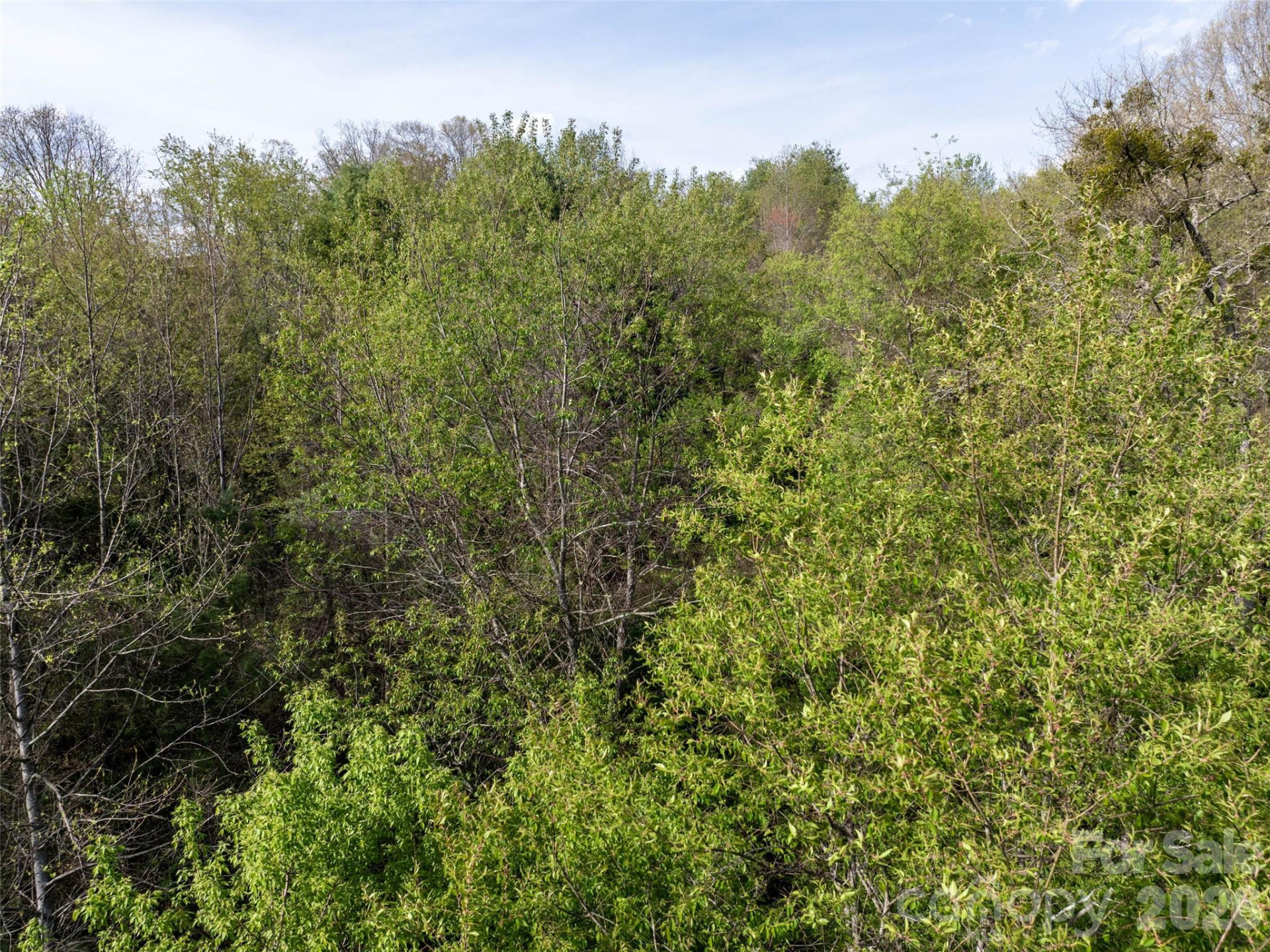 0 Sunnybrook Trail #40 - Photo 6