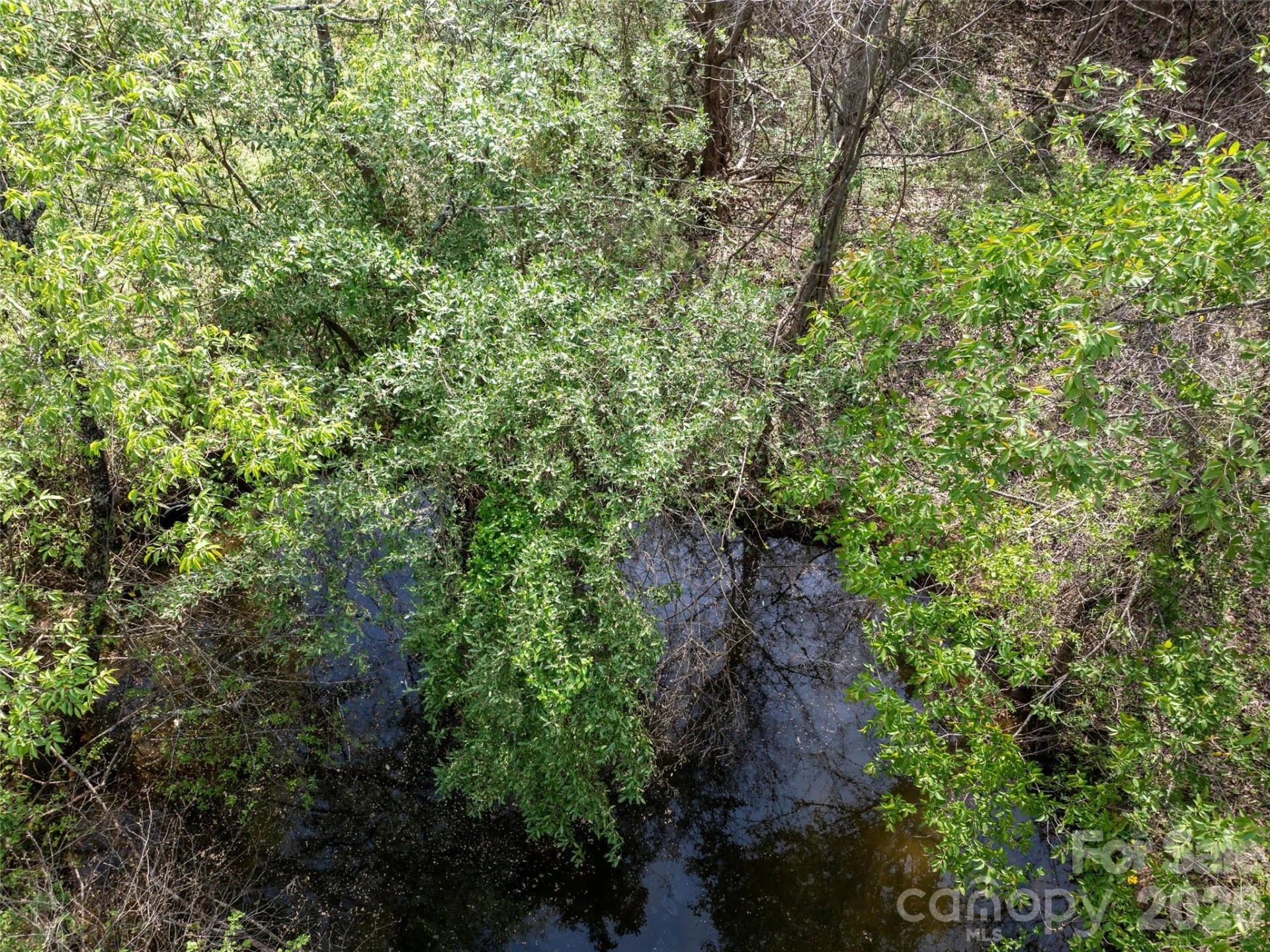 0 Sunnybrook Trail #40 - Photo 7