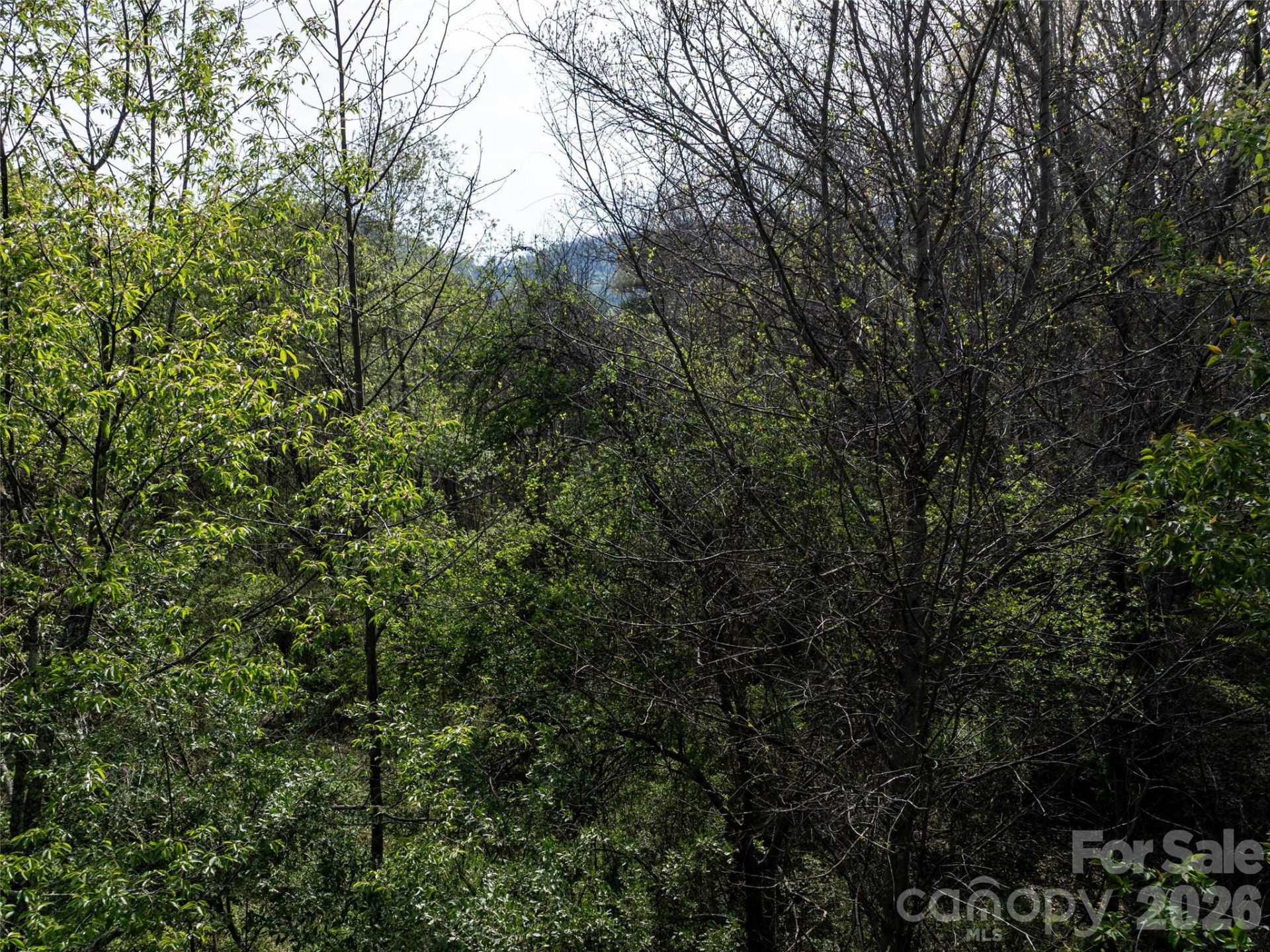 0 Sunnybrook Trail #40 - Photo 8