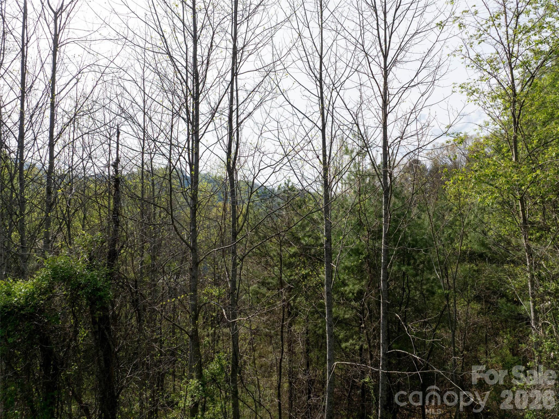 Lot 38 Sunnybrook Trail - Photo 6