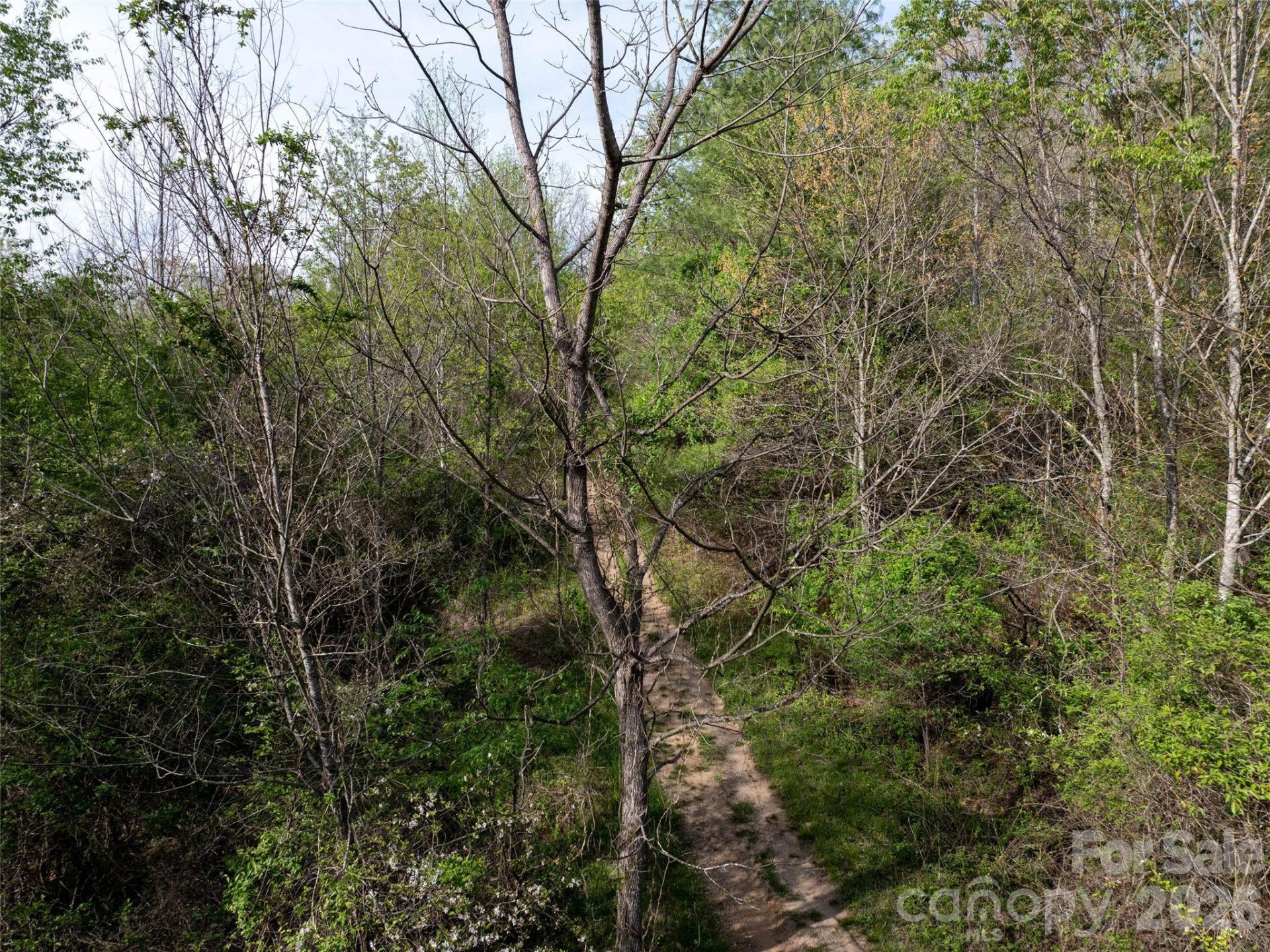 Lot 38 Sunnybrook Trail - Photo 7