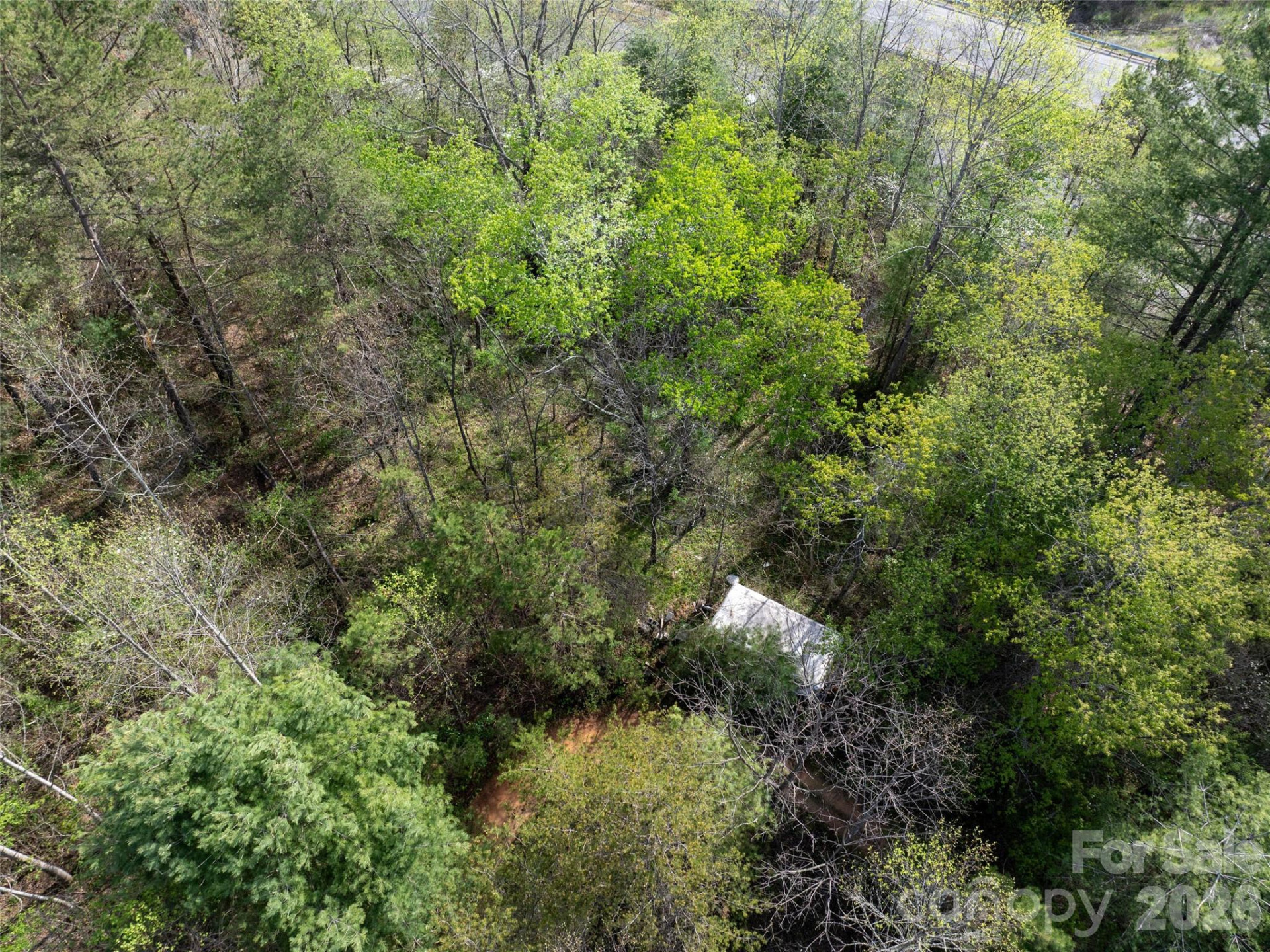 Lot 38 Sunnybrook Trail - Photo 8