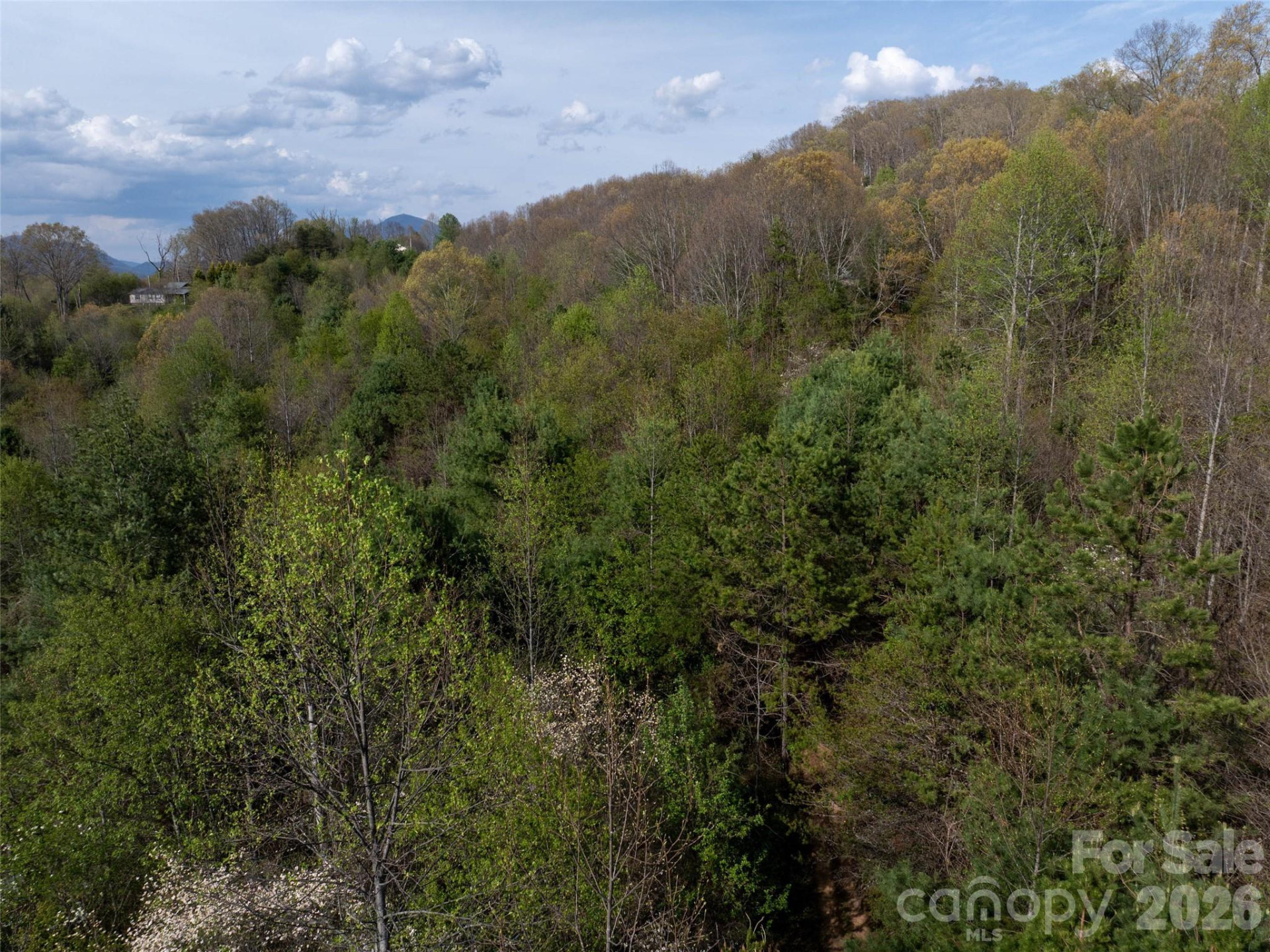 Lot 38 Sunnybrook Trail - Photo 9