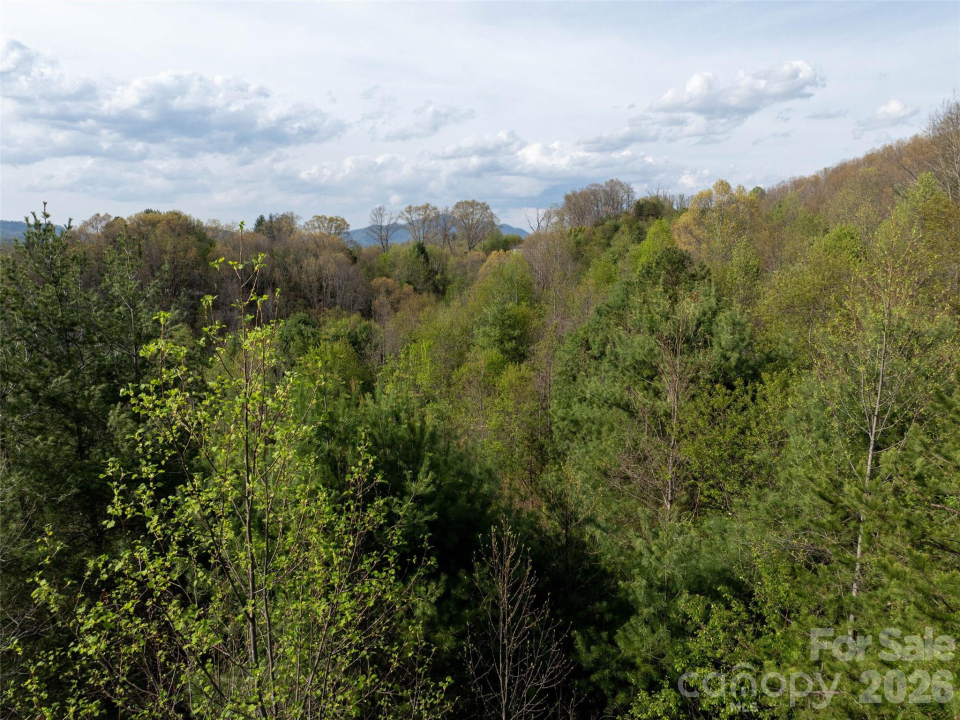 Lot 38 Sunnybrook Trail - Photo 10
