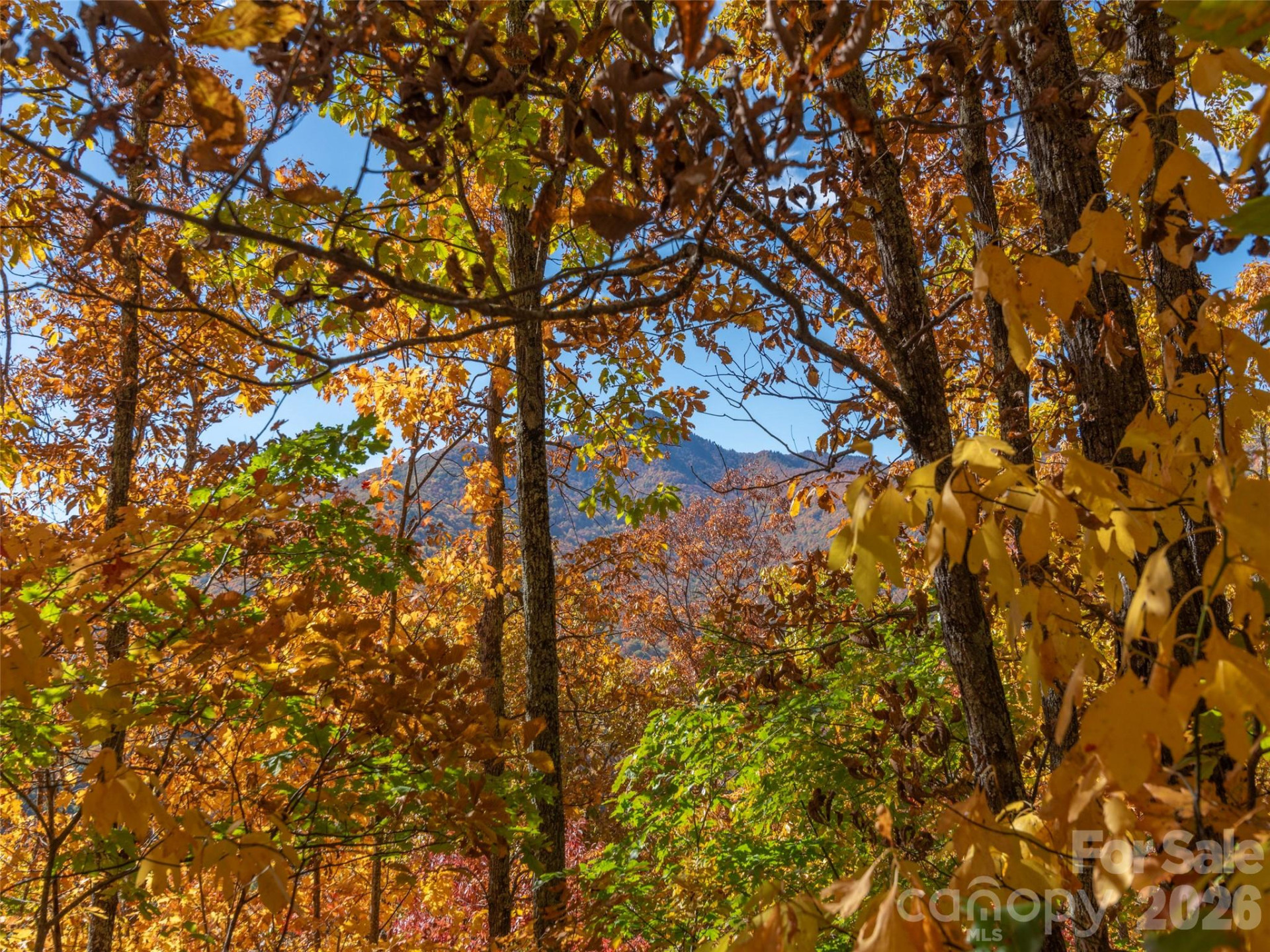 0 Legend Road #18 - Photo 11