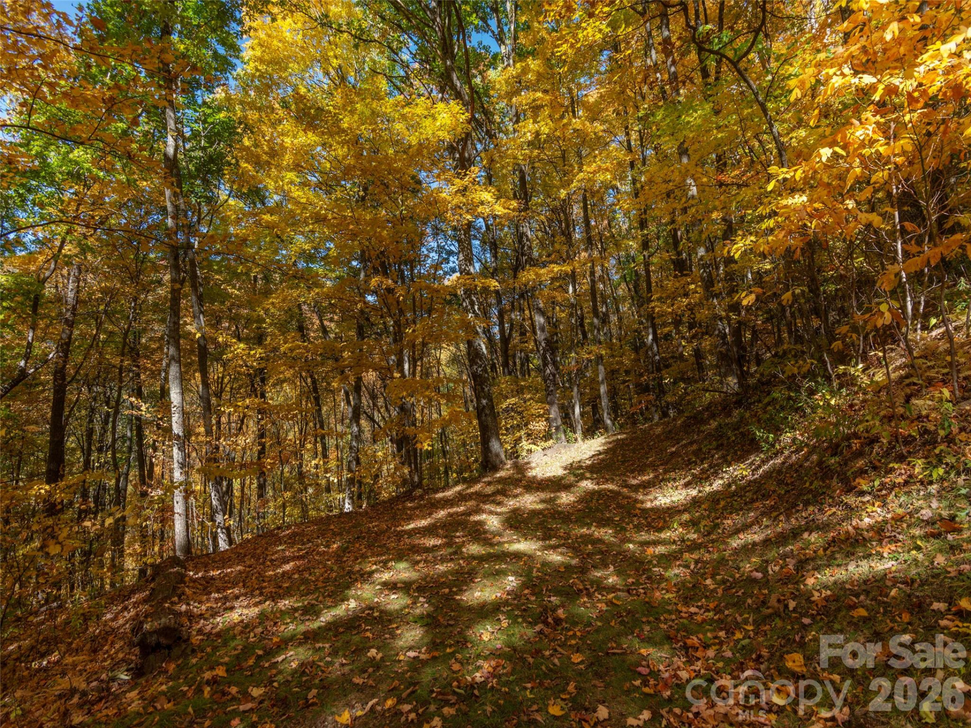 0 Legend Road #18 - Photo 15