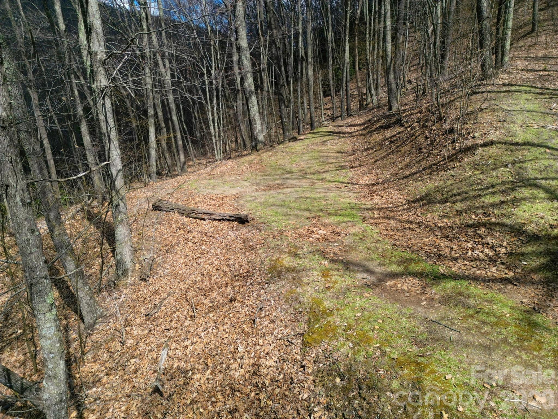 0 Legend Road #18 - Photo 3